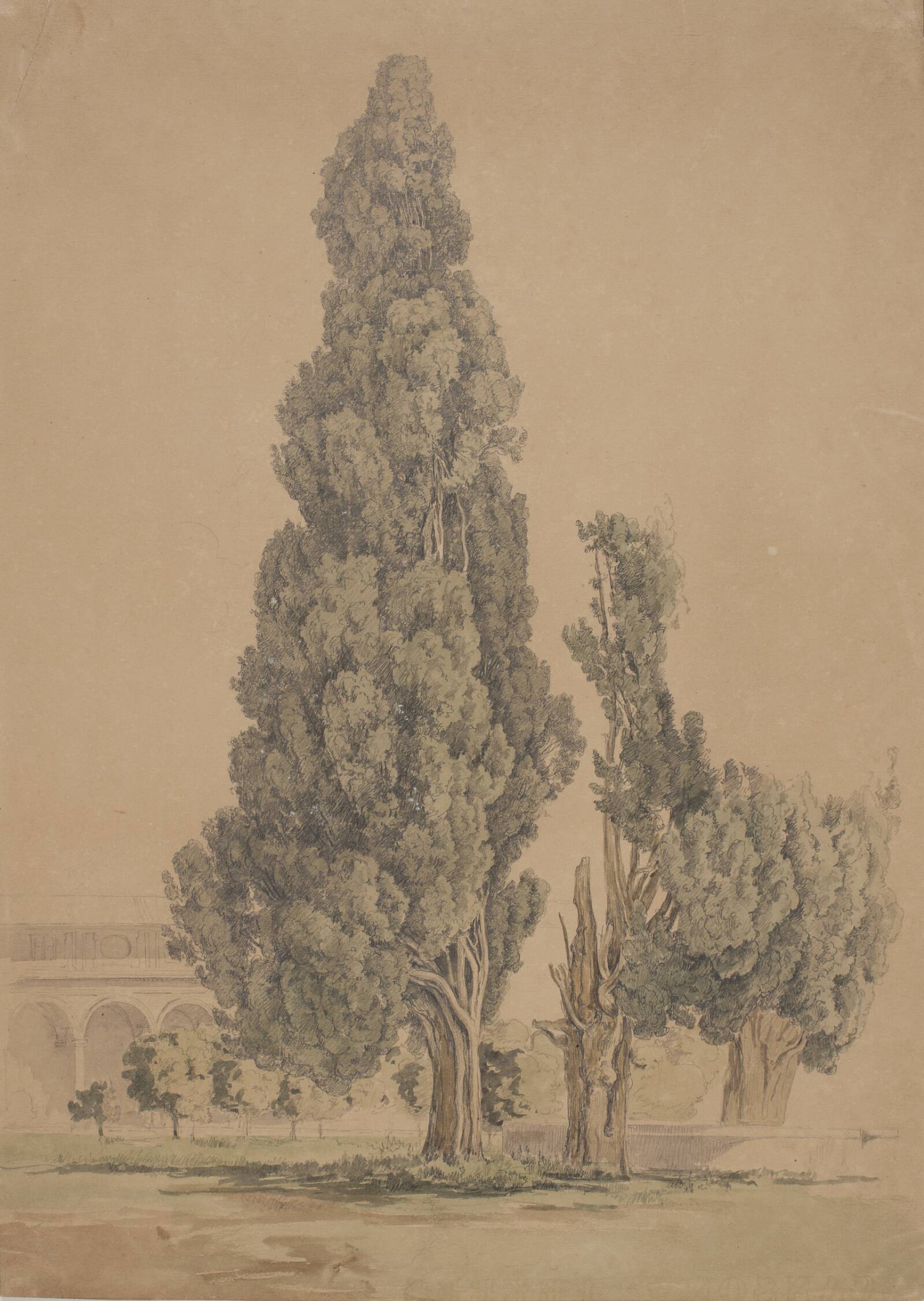 Cypresser, Thorald Brendstrup, 1812-1883