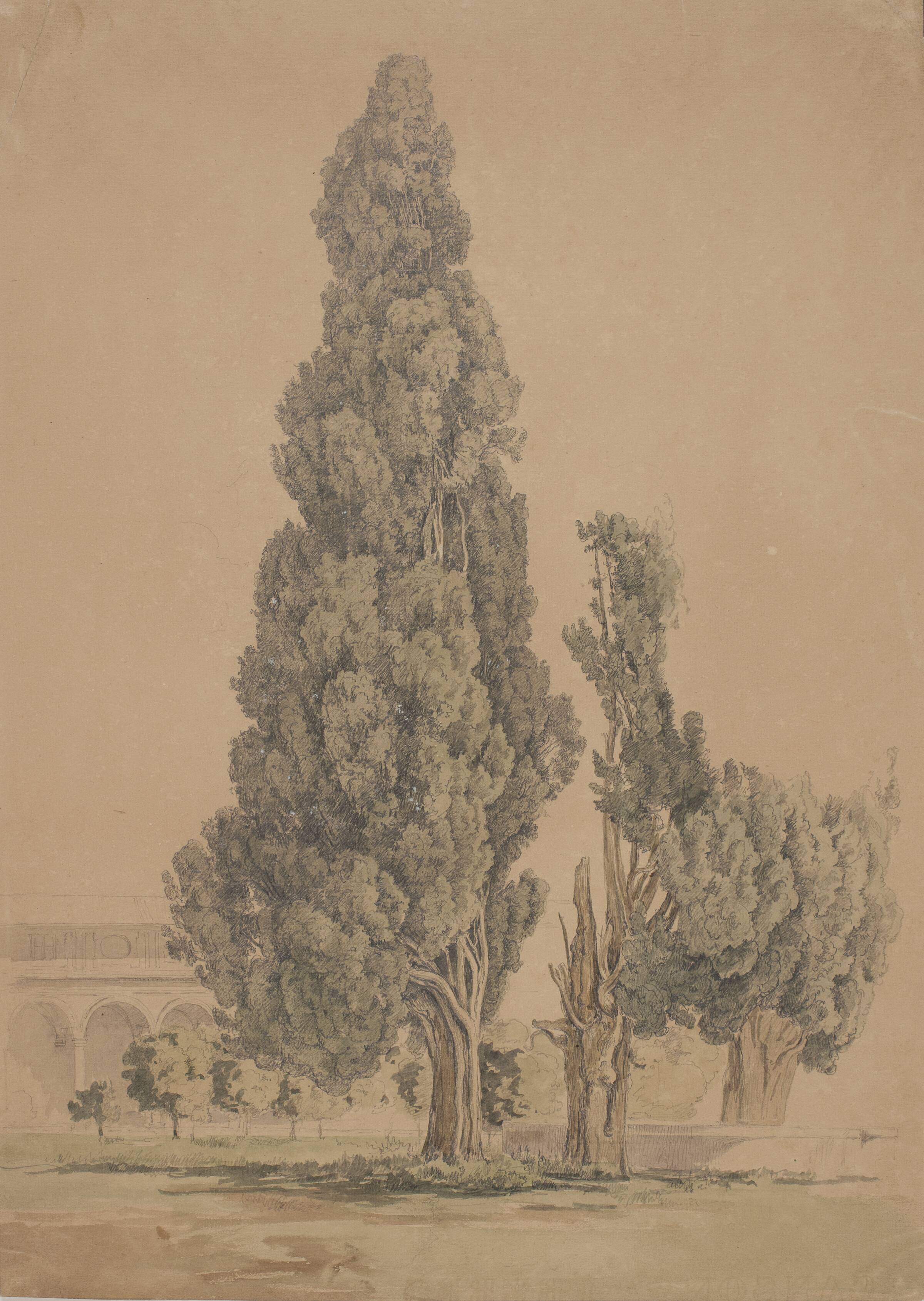 Cypresser, Thorald Brendstrup, 1812-1883