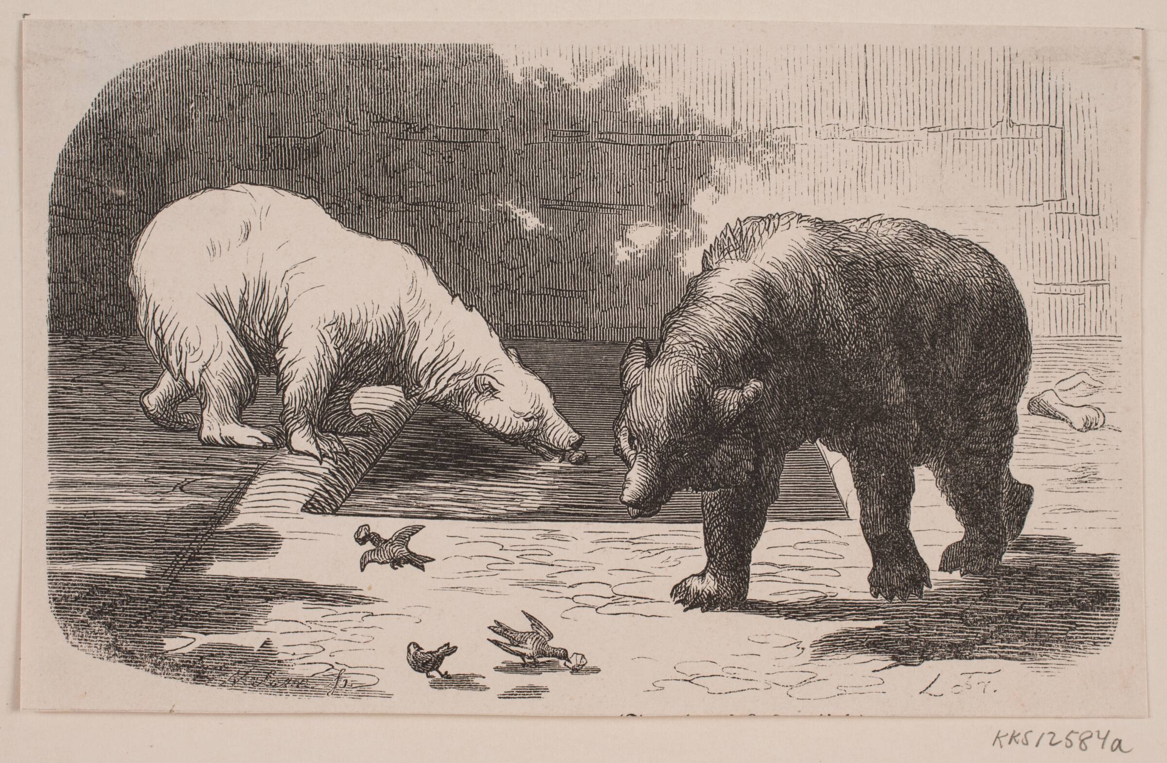 Bjørne i Jardin des Plantes, J.C. Nielsen, 1862