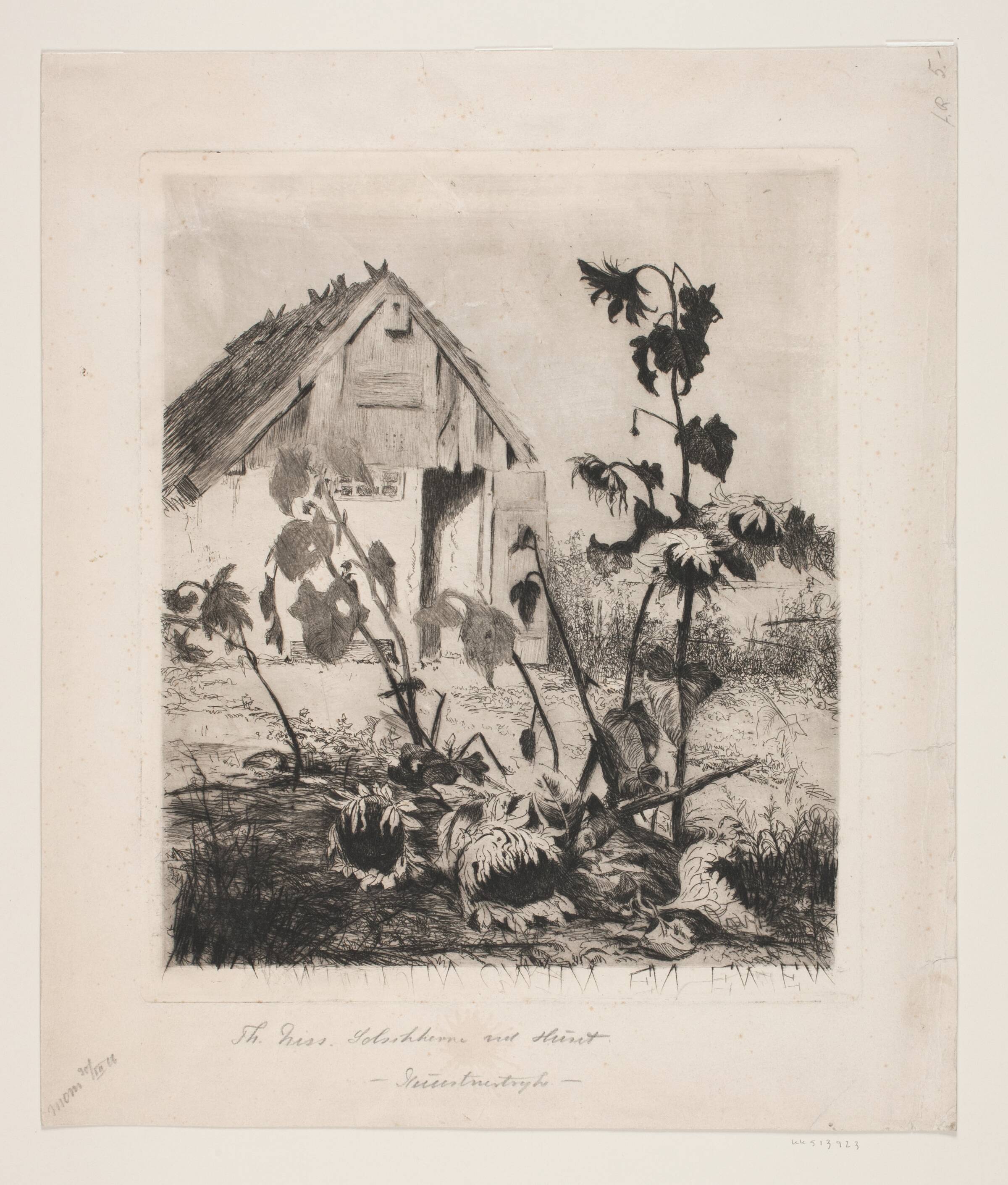 Solsikkerne ved huset, Thorvald Niss, 1894-1899