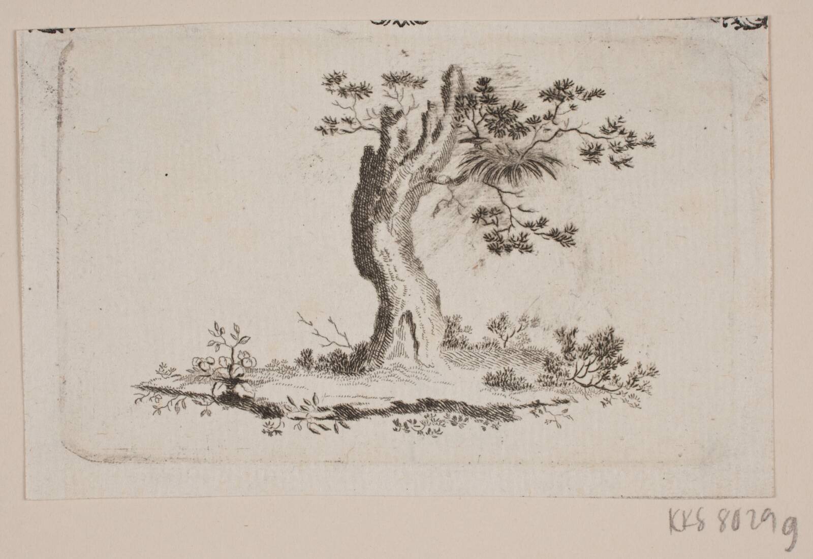 Træbul, Bradt, F.L., 1747-1829