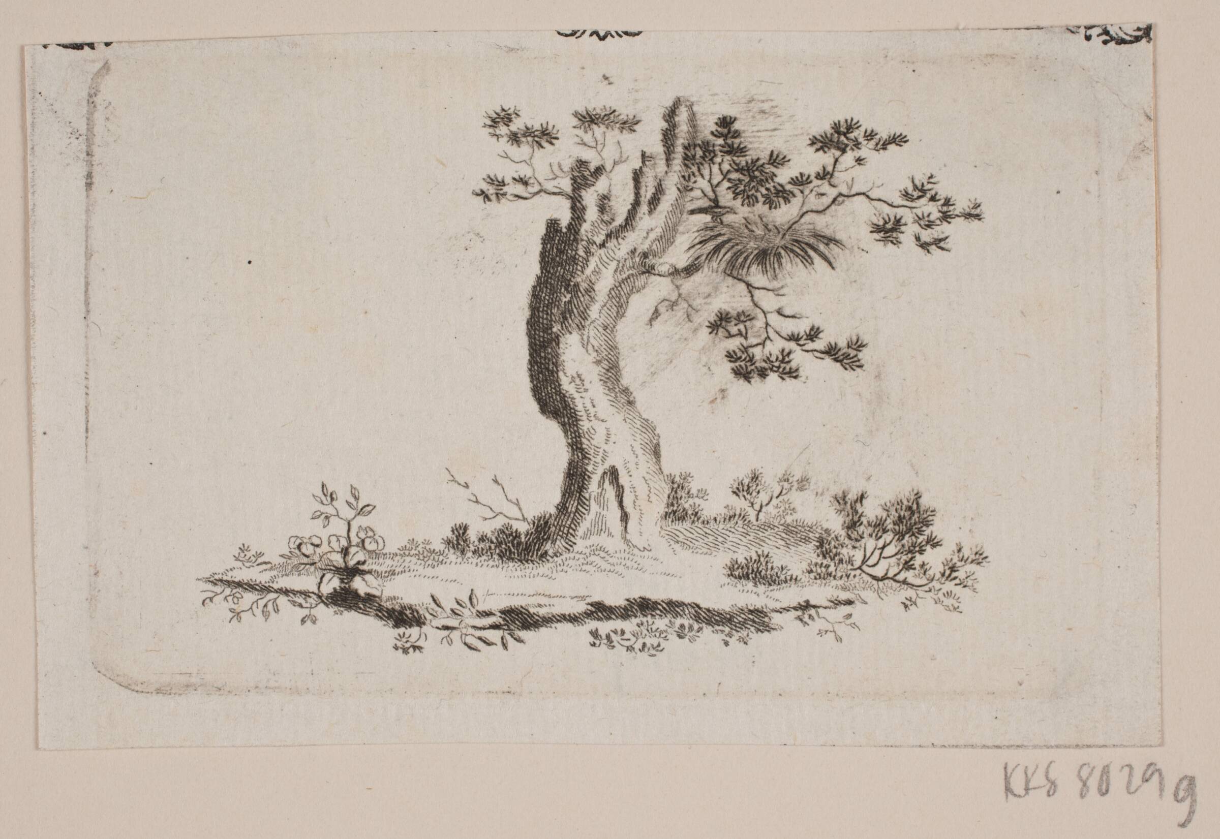 Træbul, Bradt, F.L., 1747-1829