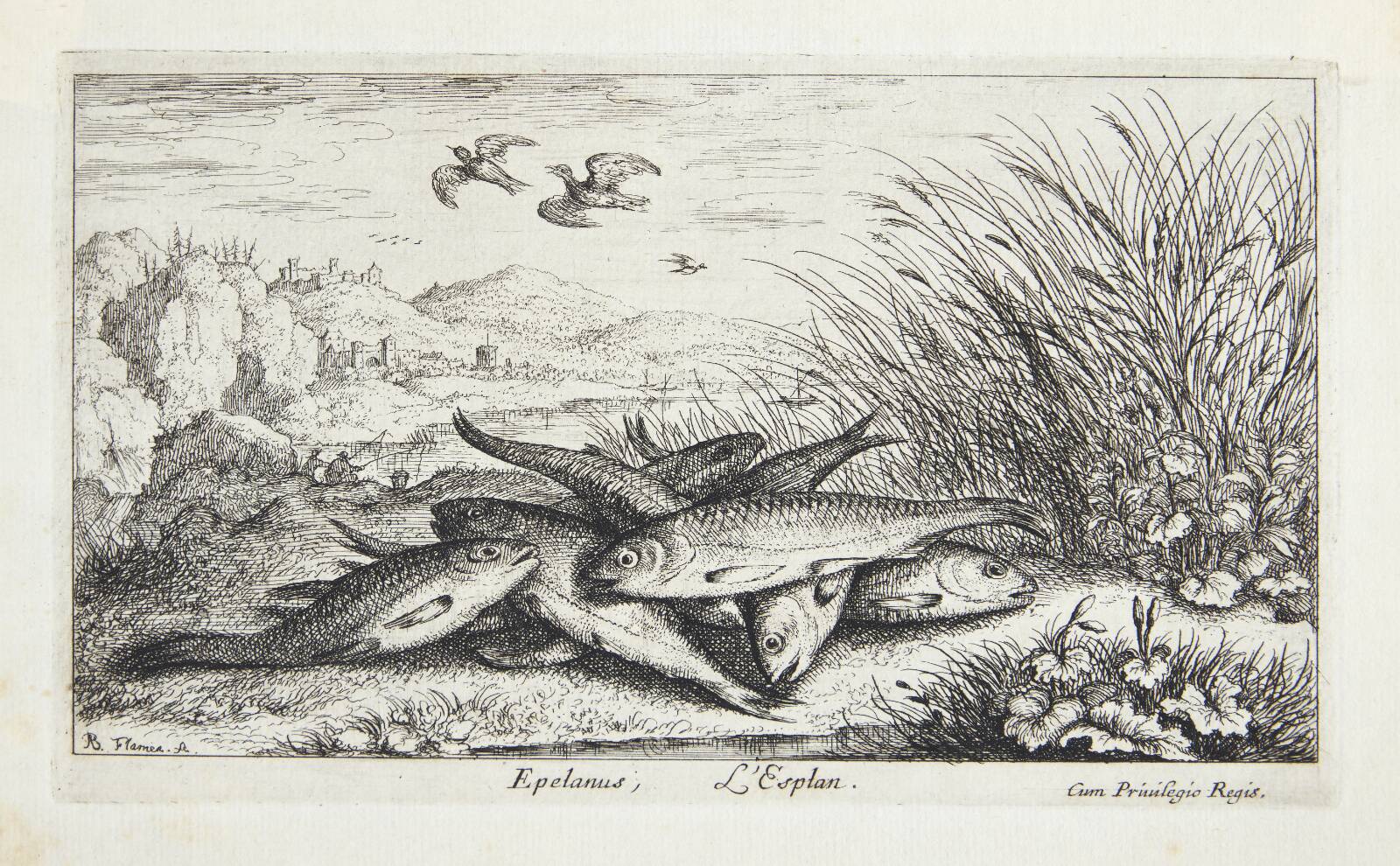Smelten (Epelanus), Albert Flamen, 1620-1669
