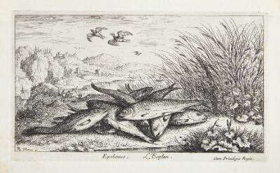 Smelten (Epelanus)