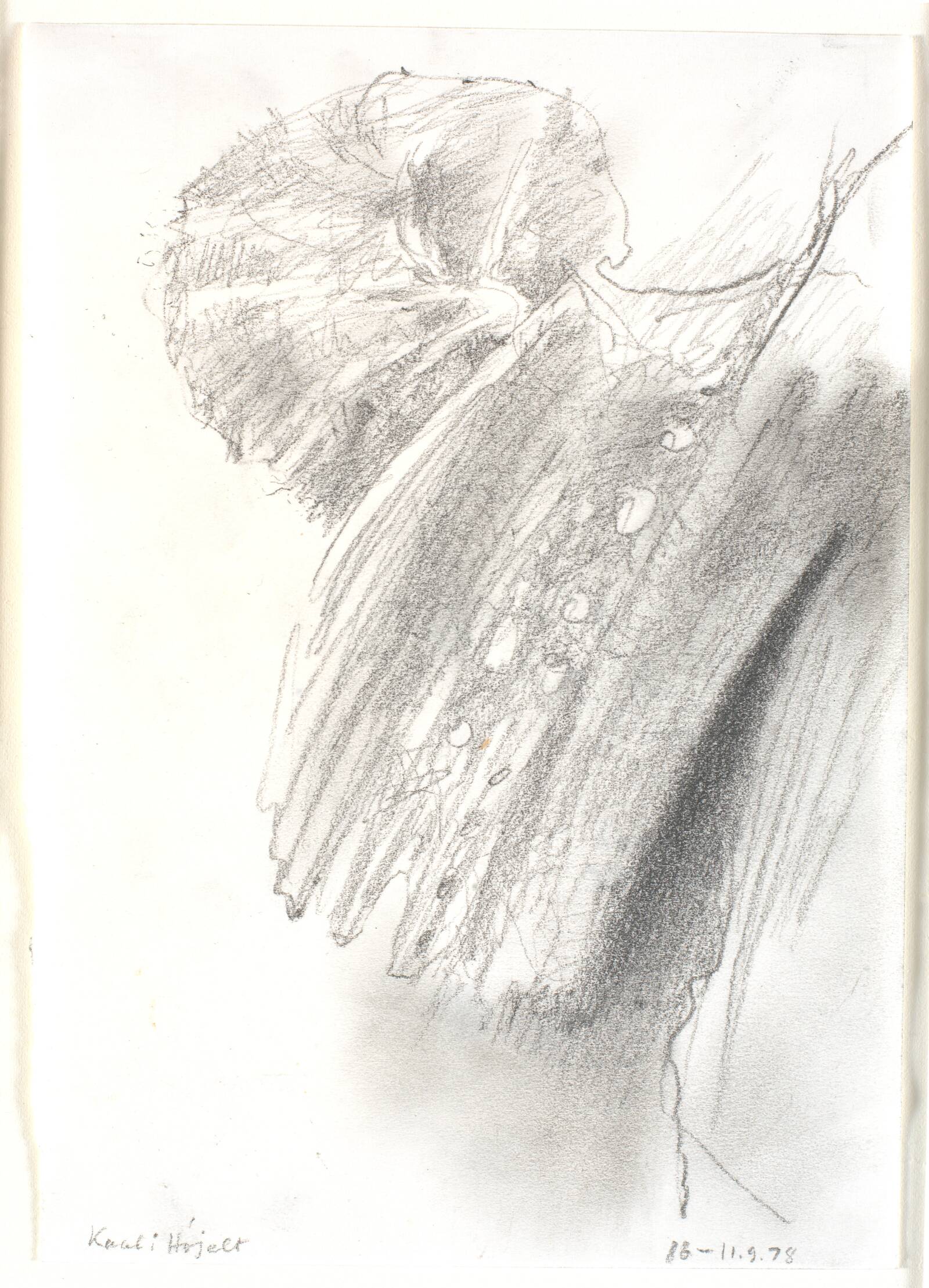 "Kaal i Højelt", Jørgen Rømer, 1978