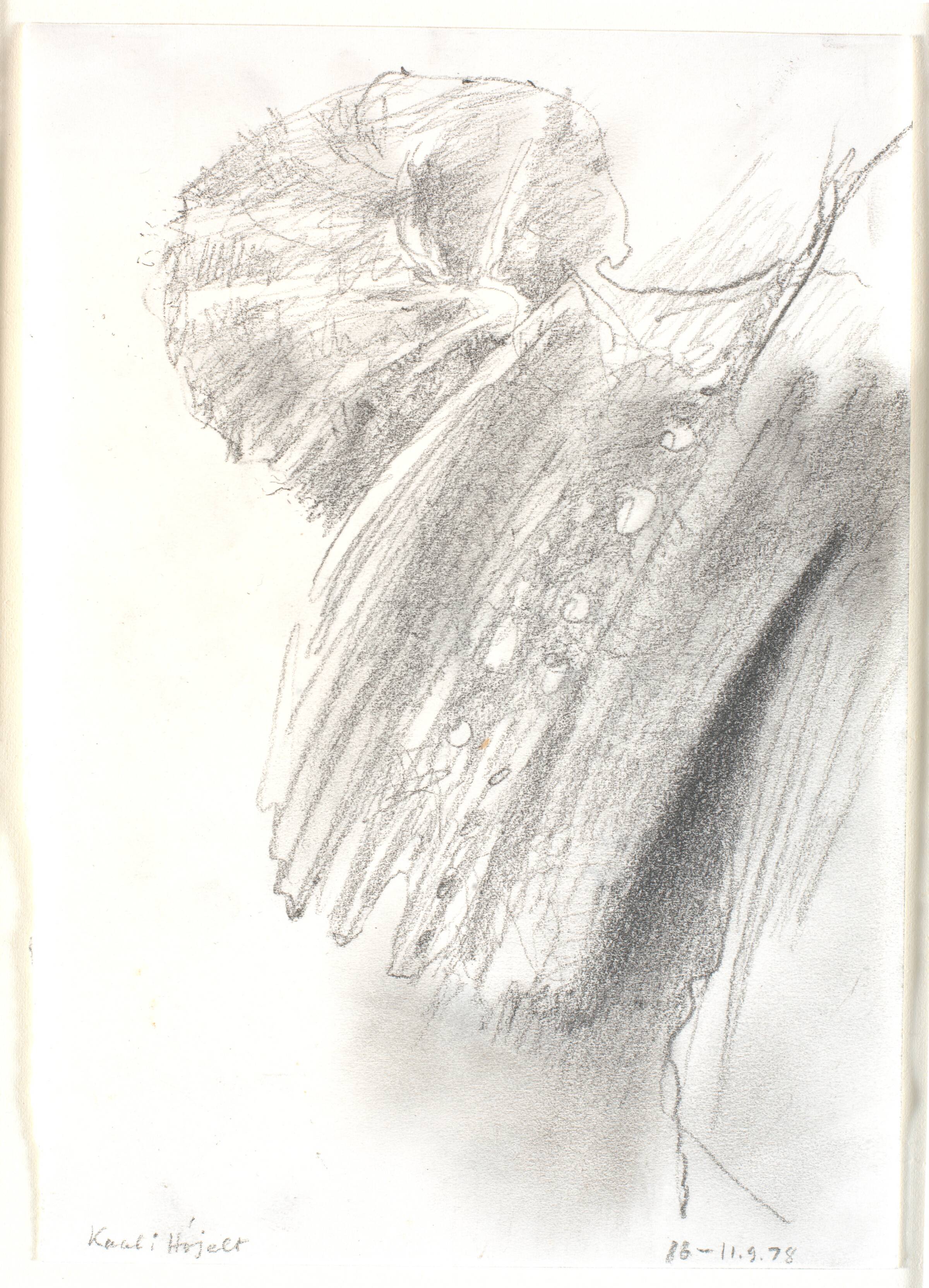 "Kaal i Højelt", Jørgen Rømer, 1978