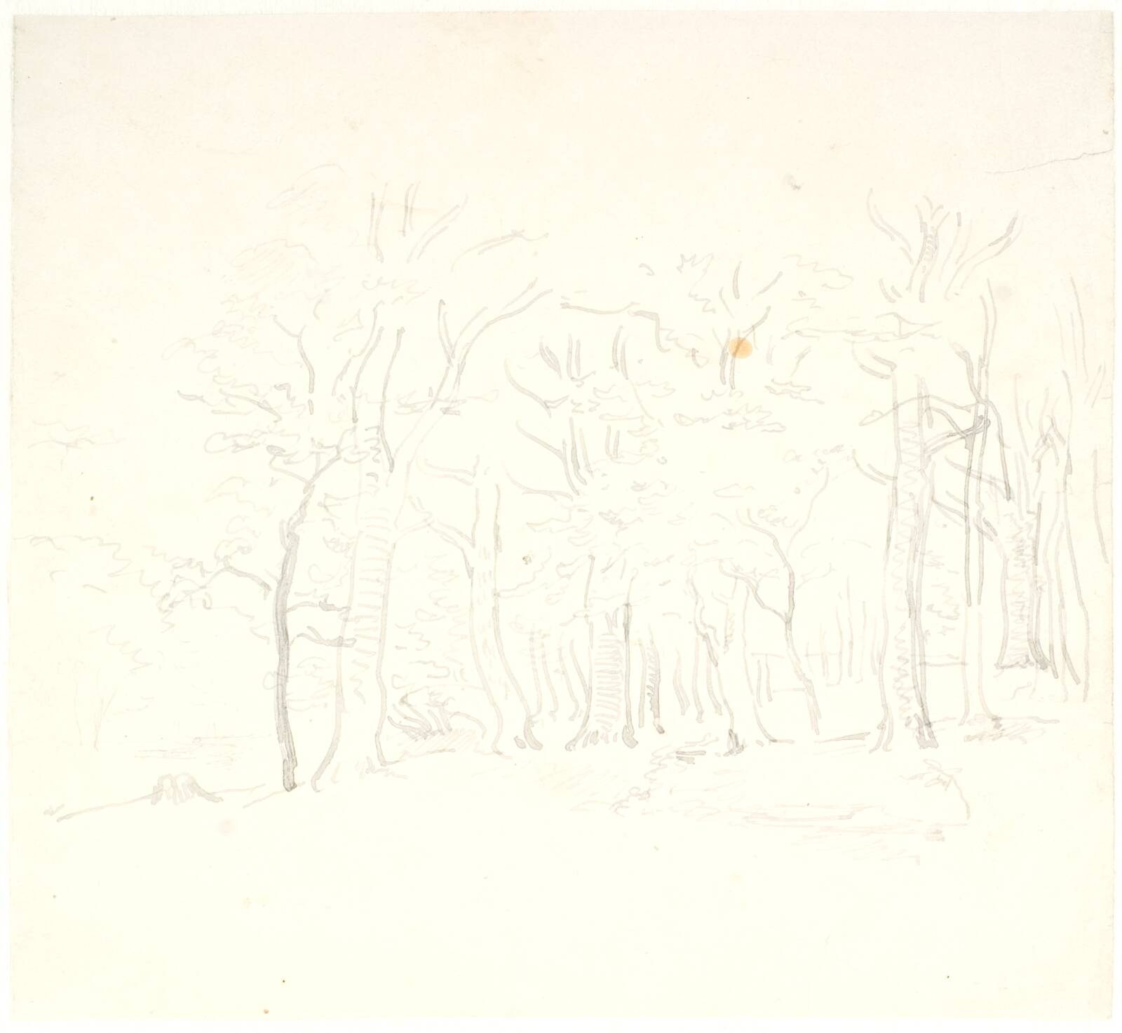Skovinteriør, Dankvart Dreyer, 1845