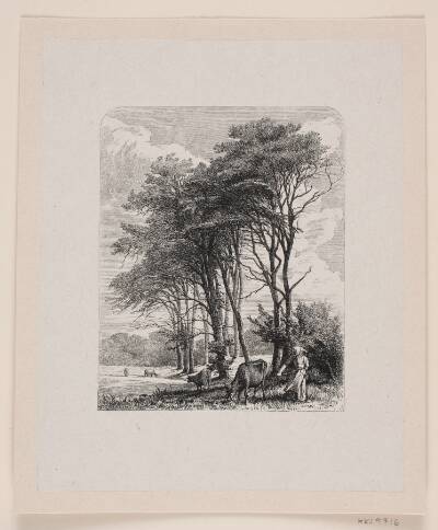 Illustration til digt af Chr. Ricardt, "I vinden"