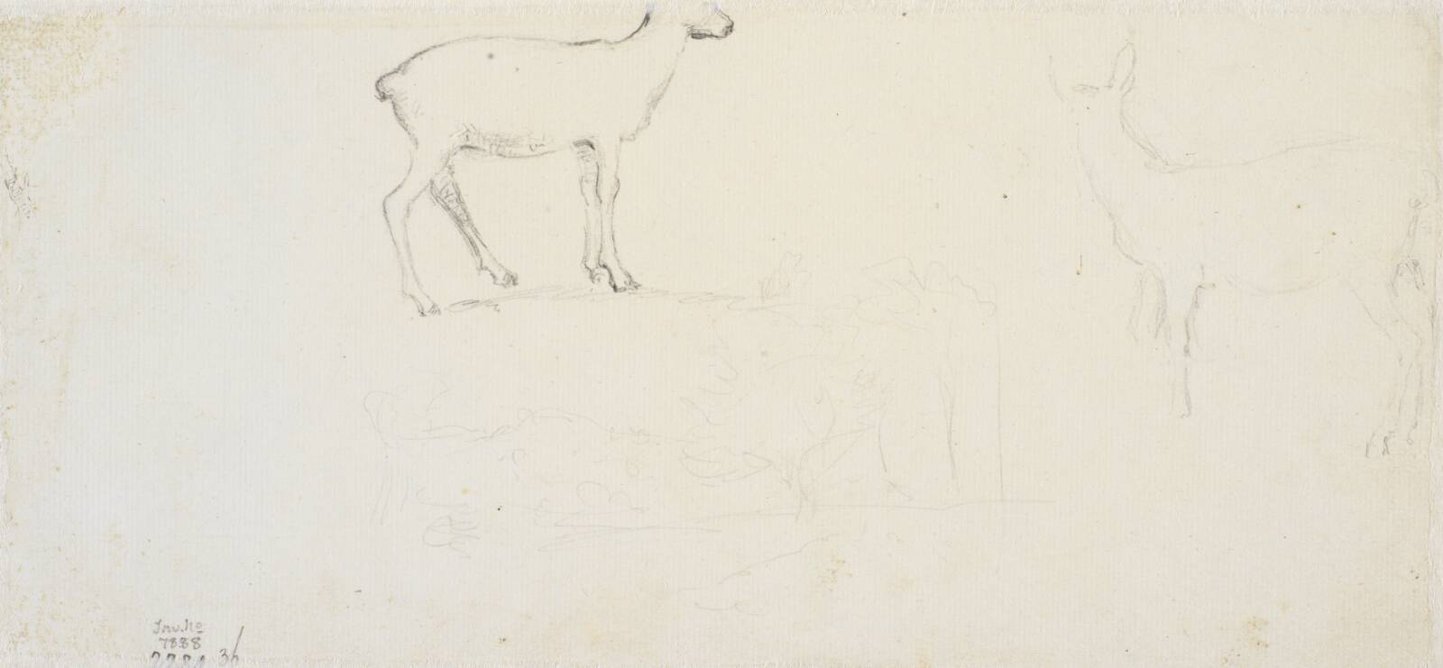 Studier af hjorte o.a., Dankvart Dreyer, 1831-1852