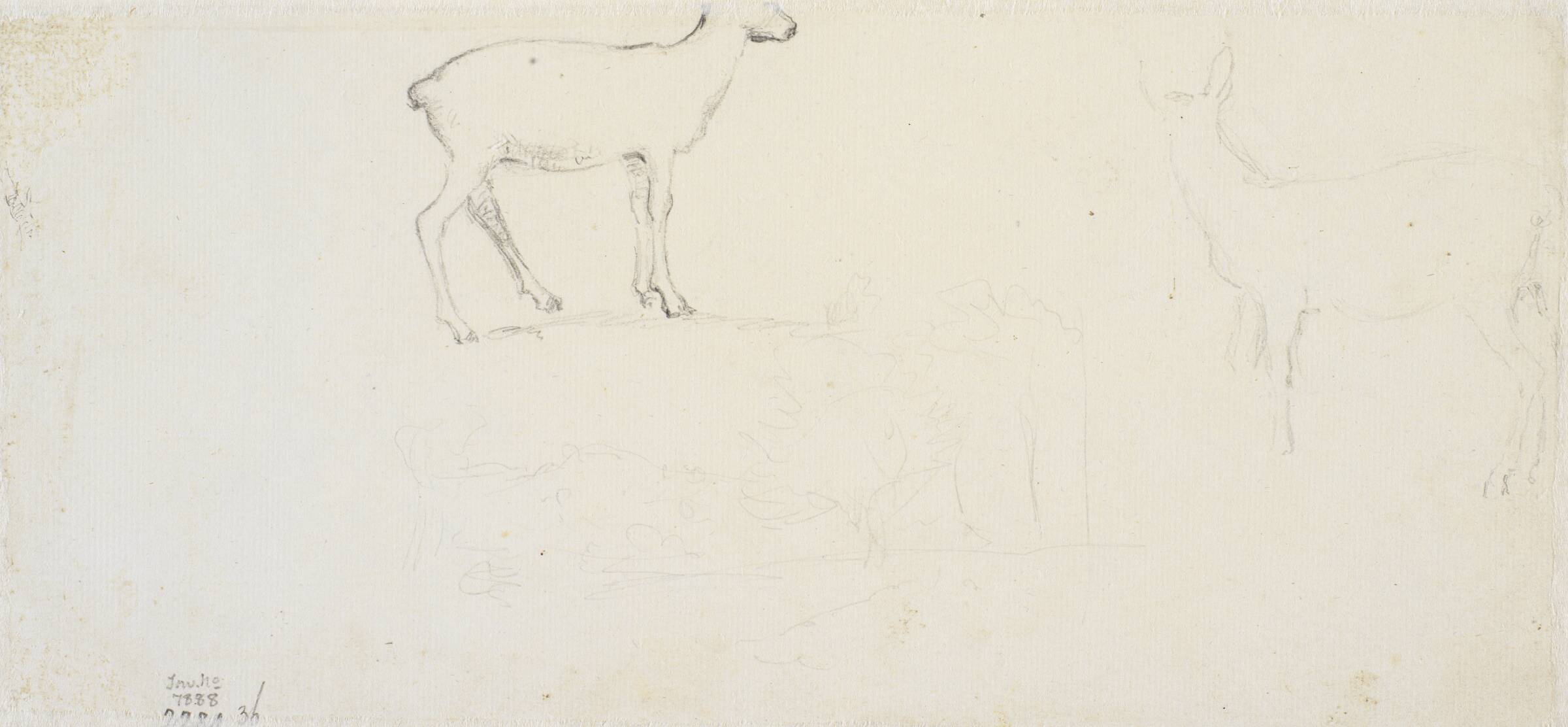 Studier af hjorte o.a., Dankvart Dreyer, 1831-1852