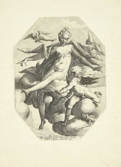 Venus og Amor