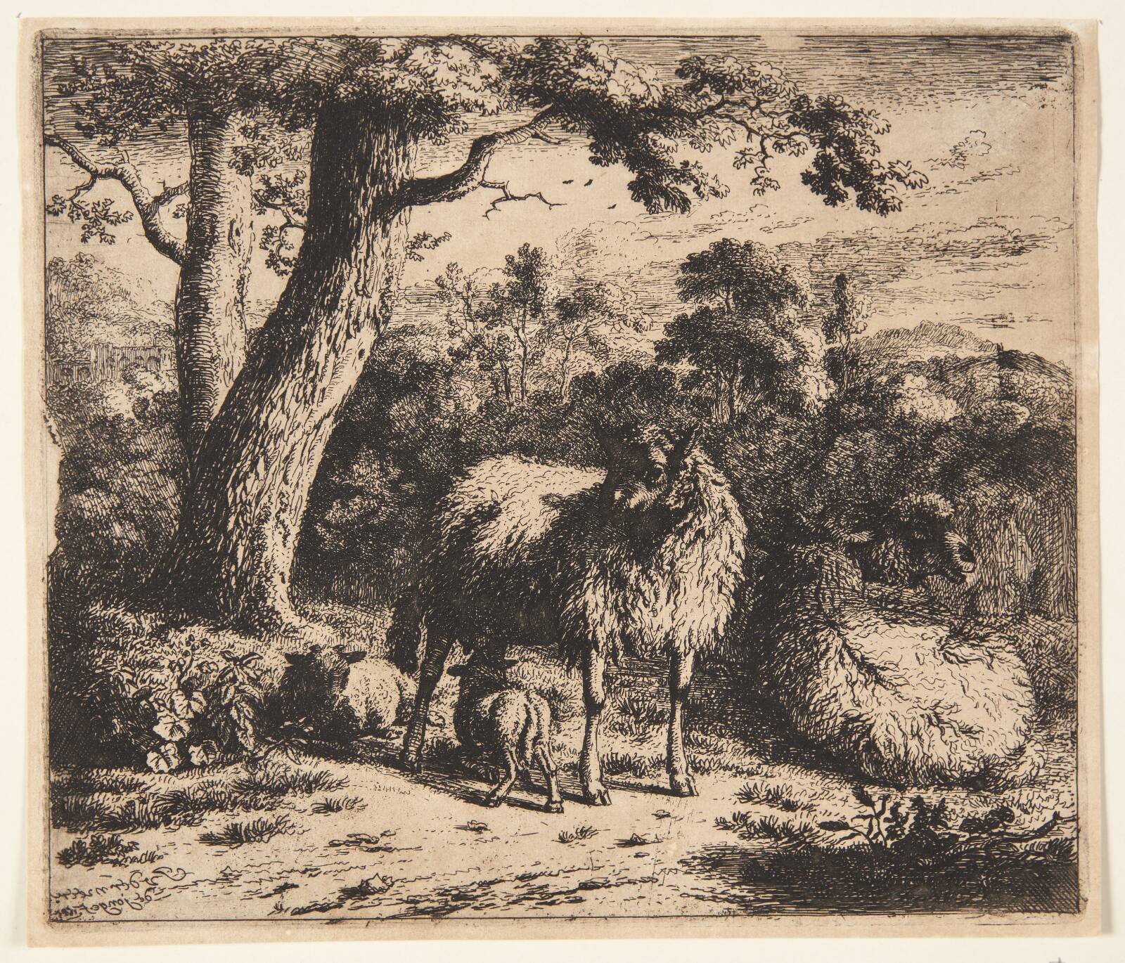 Stående får med to lam, Jan van der Meer, 1685