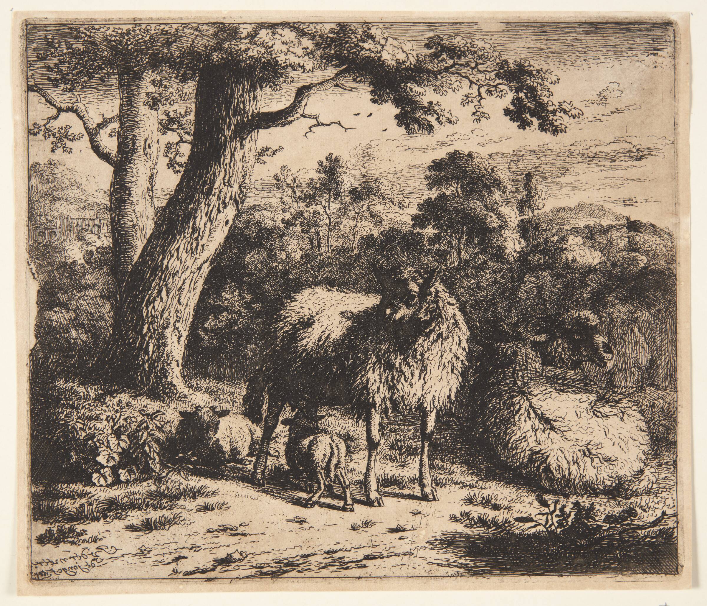 Stående får med to lam, Jan van der Meer, 1685
