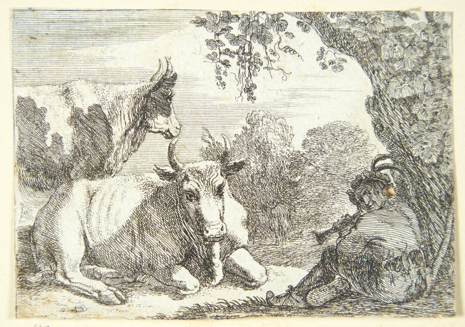 Køer, Herman van Swanevelt, 1603-1655