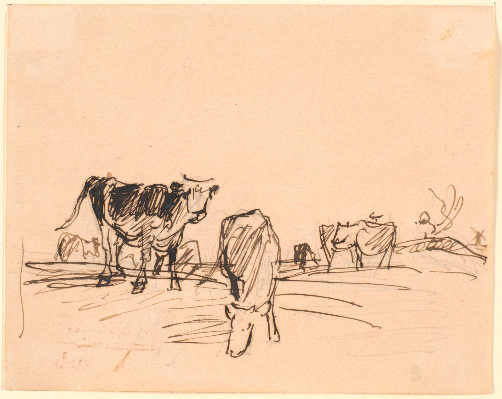 Køer på en mark, Theodor Philipsen, 1904