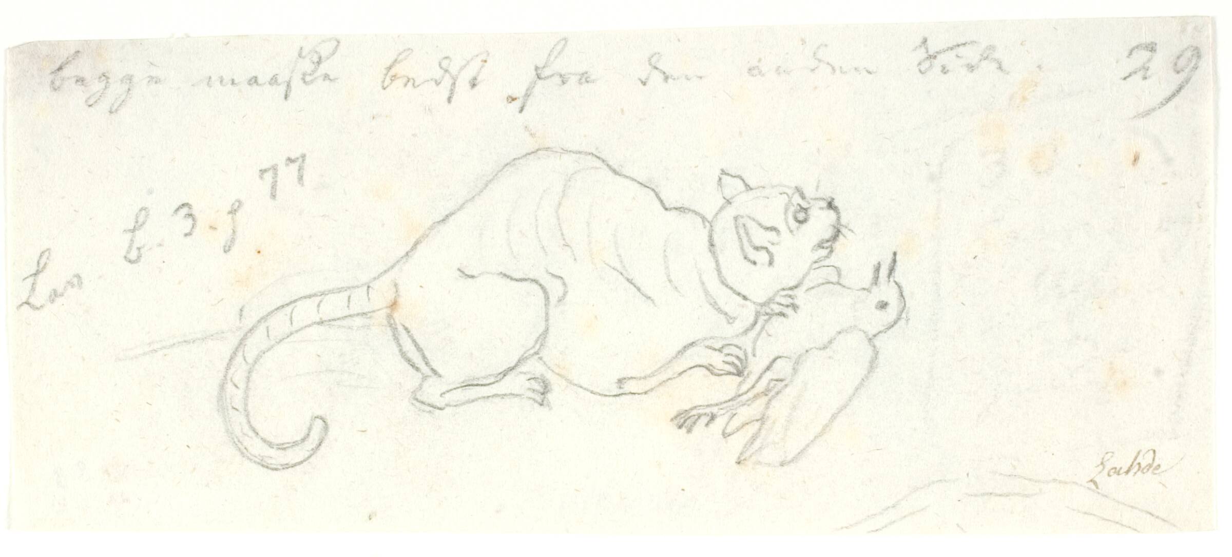 Kat med fugl, Gerhard Ludvig Lahde, 1765-1833