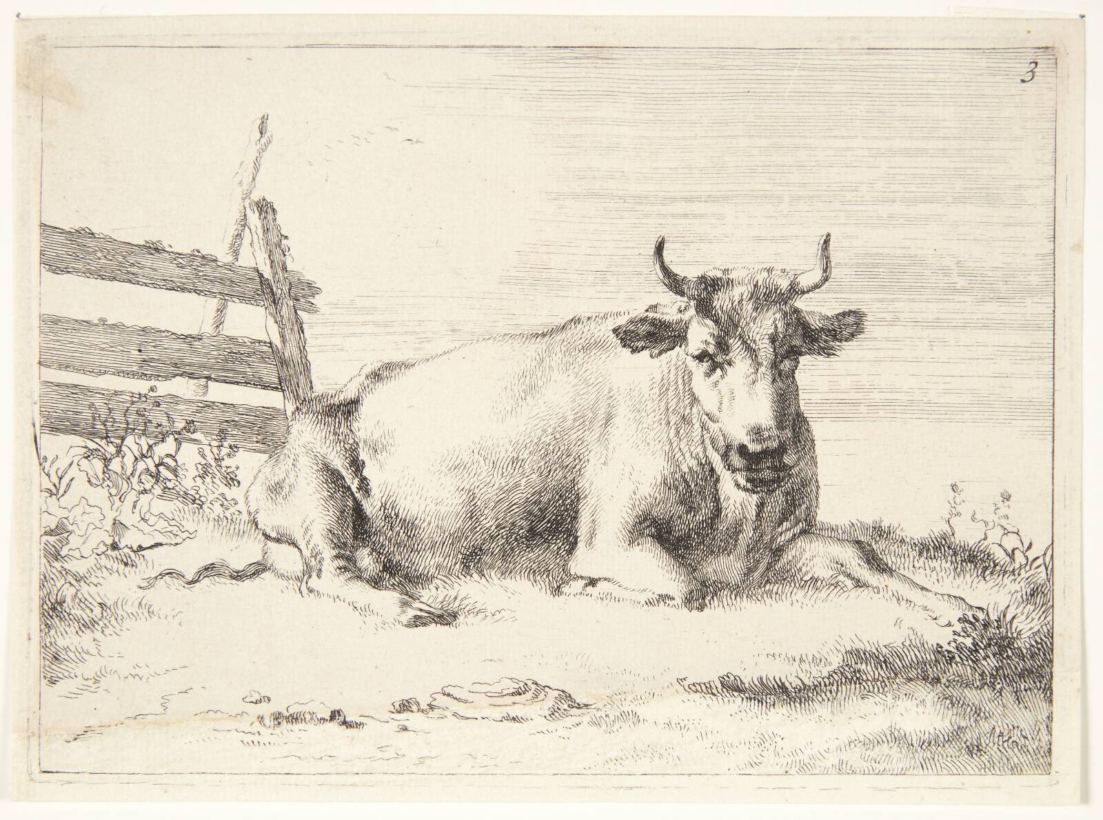 Liggende ko, Ubekendt, 1640-1677