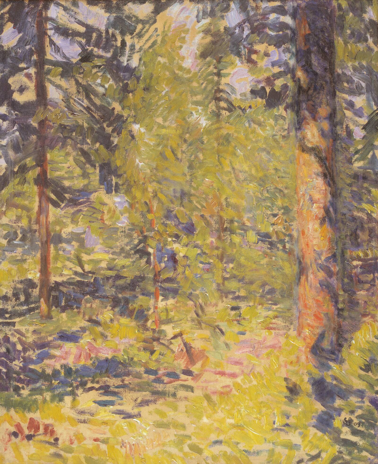 Sol i granskov. Småland, Sigurd Swane, 1909