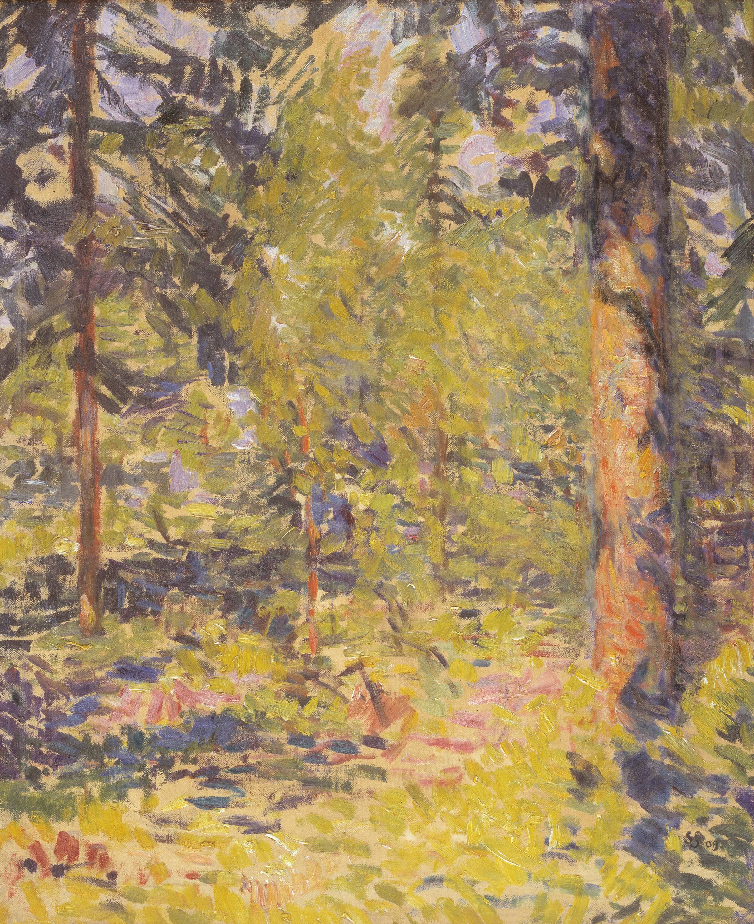 Sol i granskov. Småland, Sigurd Swane, 1909