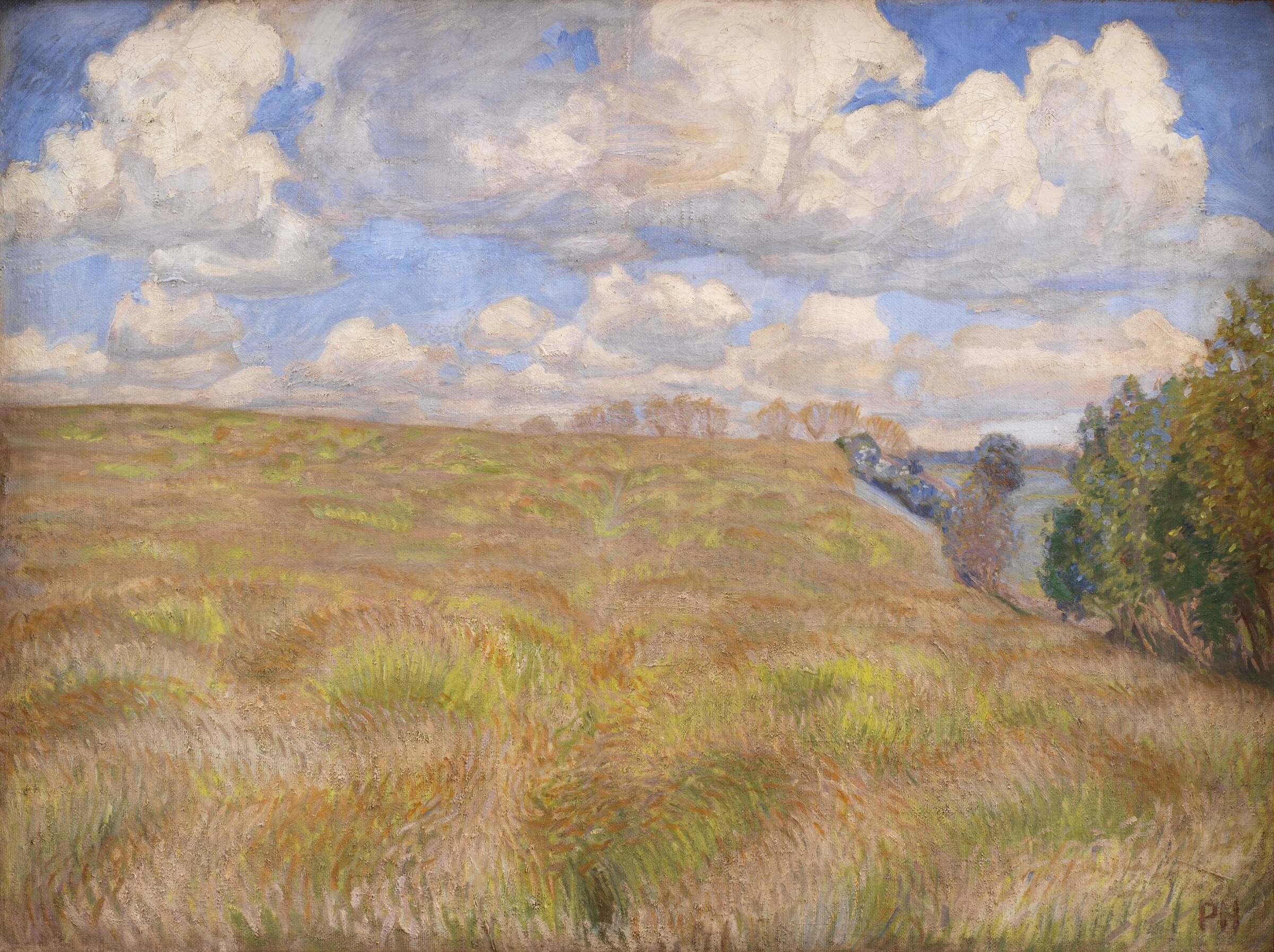 Bølgende rug, Peter Hansen, 1894