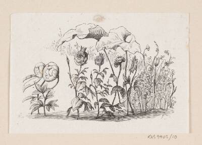 Illustration til "Den lille Idas Blomster" i H.C. Andersen, "Eventyr og Historier", Bind 1