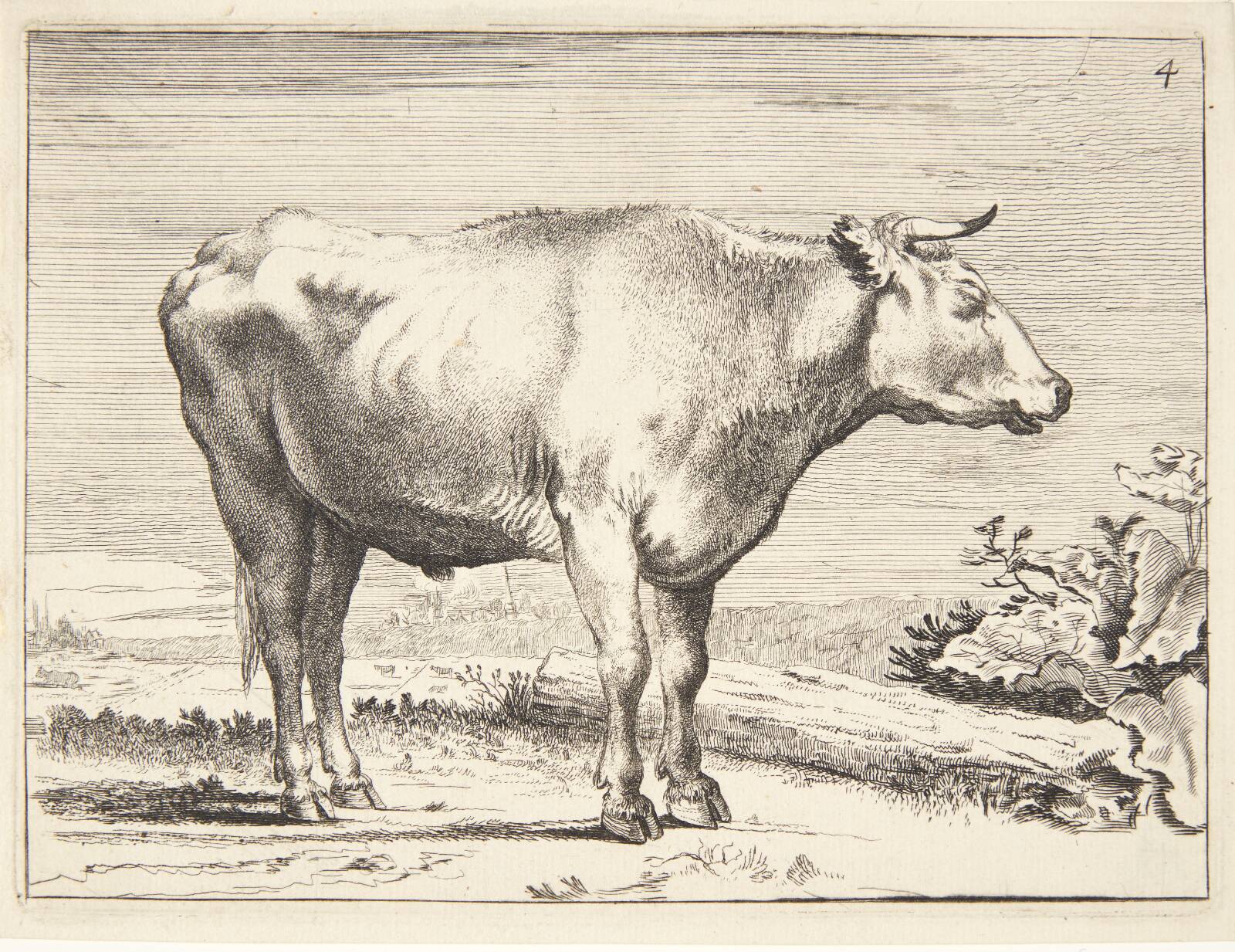 Stående stud, vendt mod højre, Ubekendt, 1640-1677
