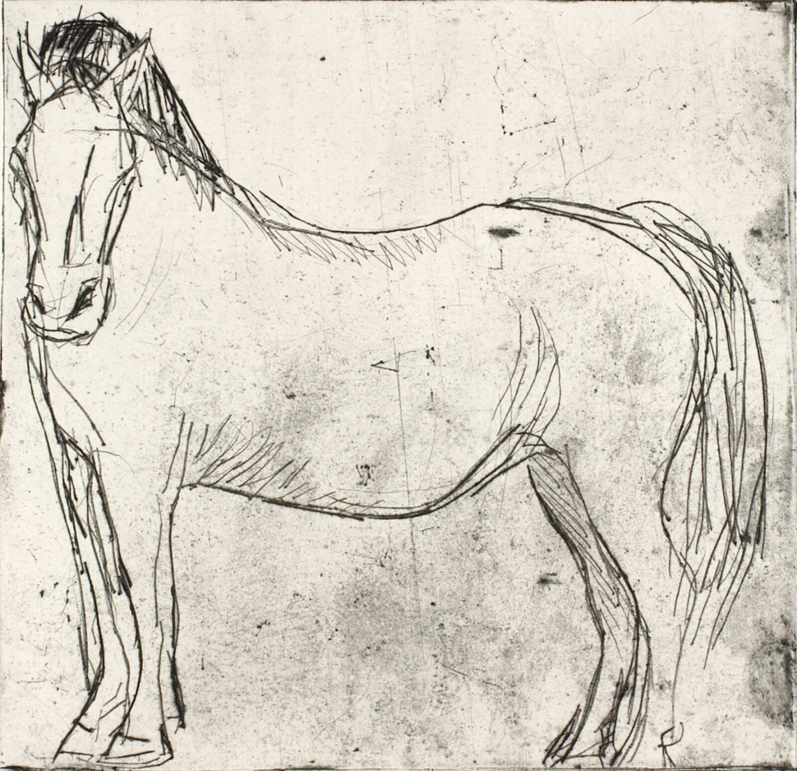 Stående hest, Olivia Holm-Møller, 1948-1951