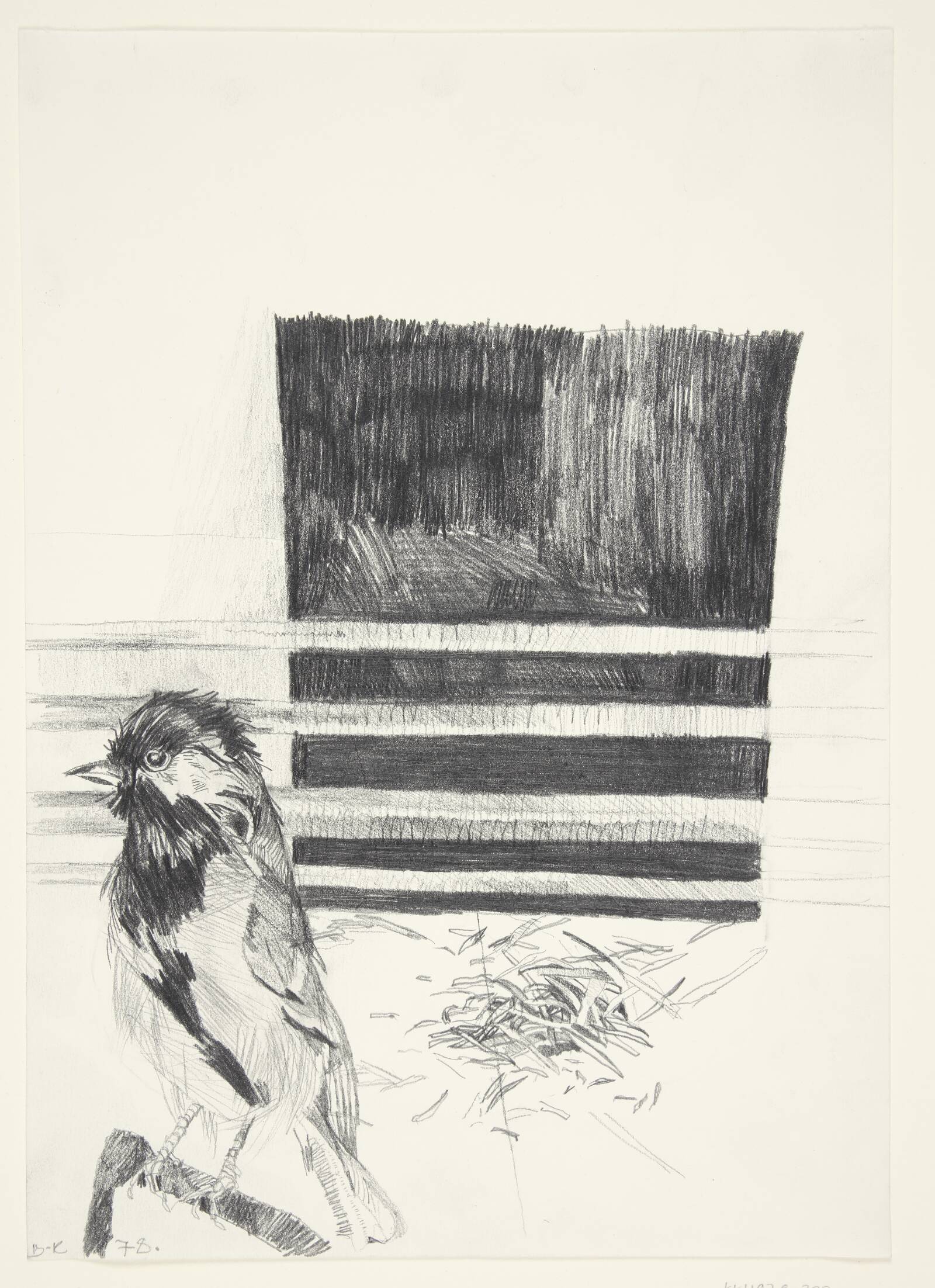 Fugl i rum, Birthe Kronkvist, 1978