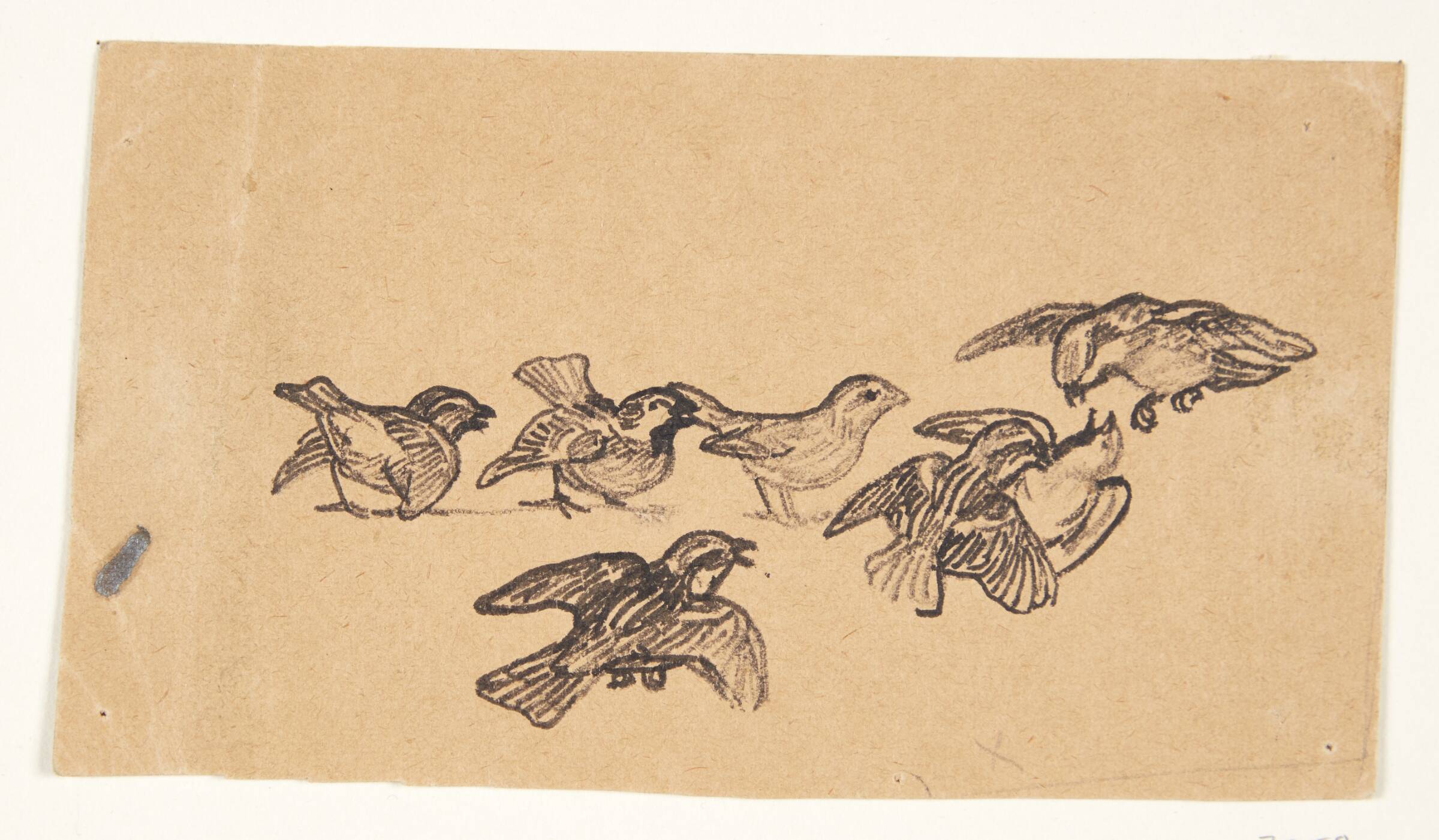 Spurve i slagsmål, Johannes Larsen, 1898