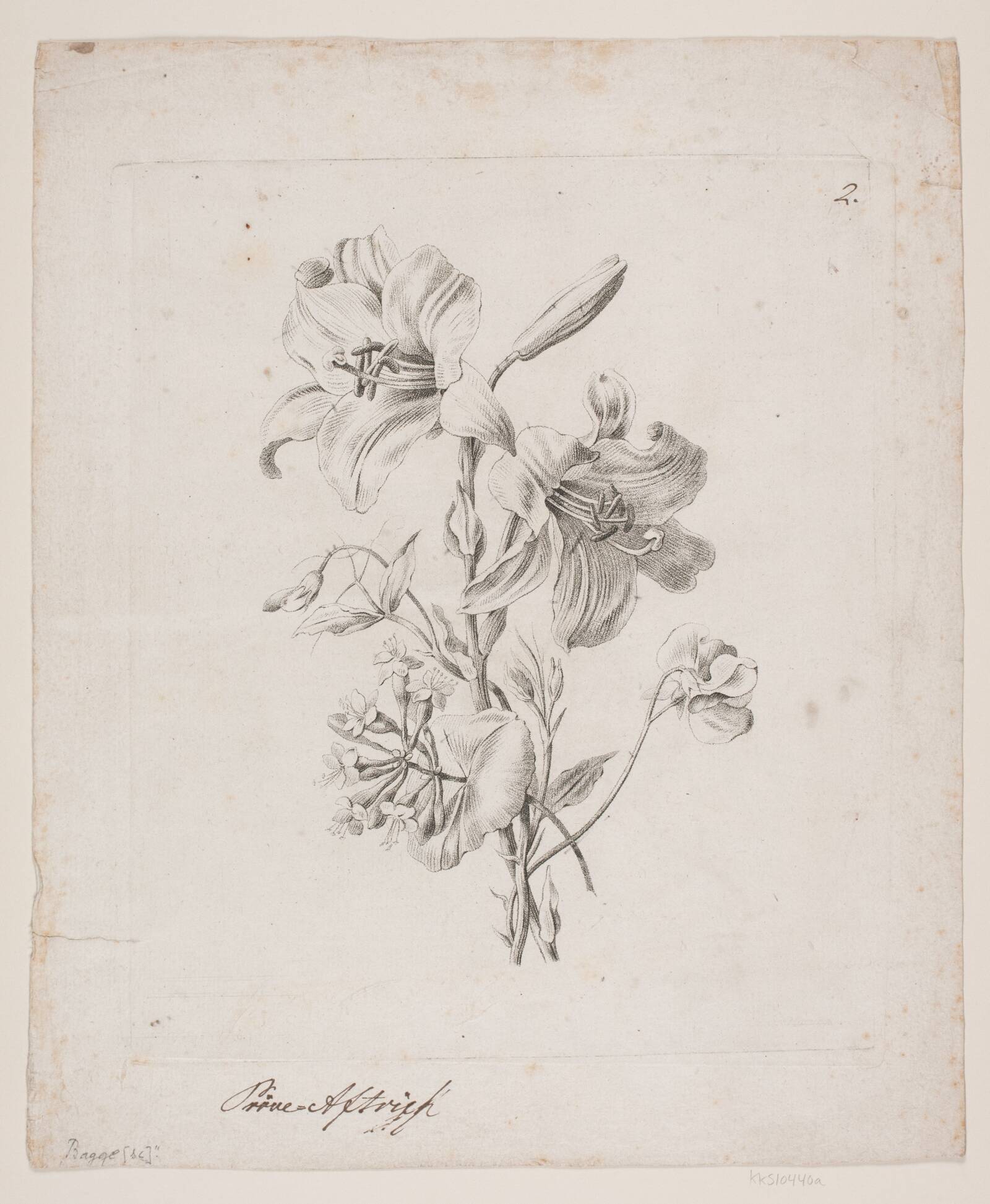Blomster, Oluf Olufsen Bagge, 1816