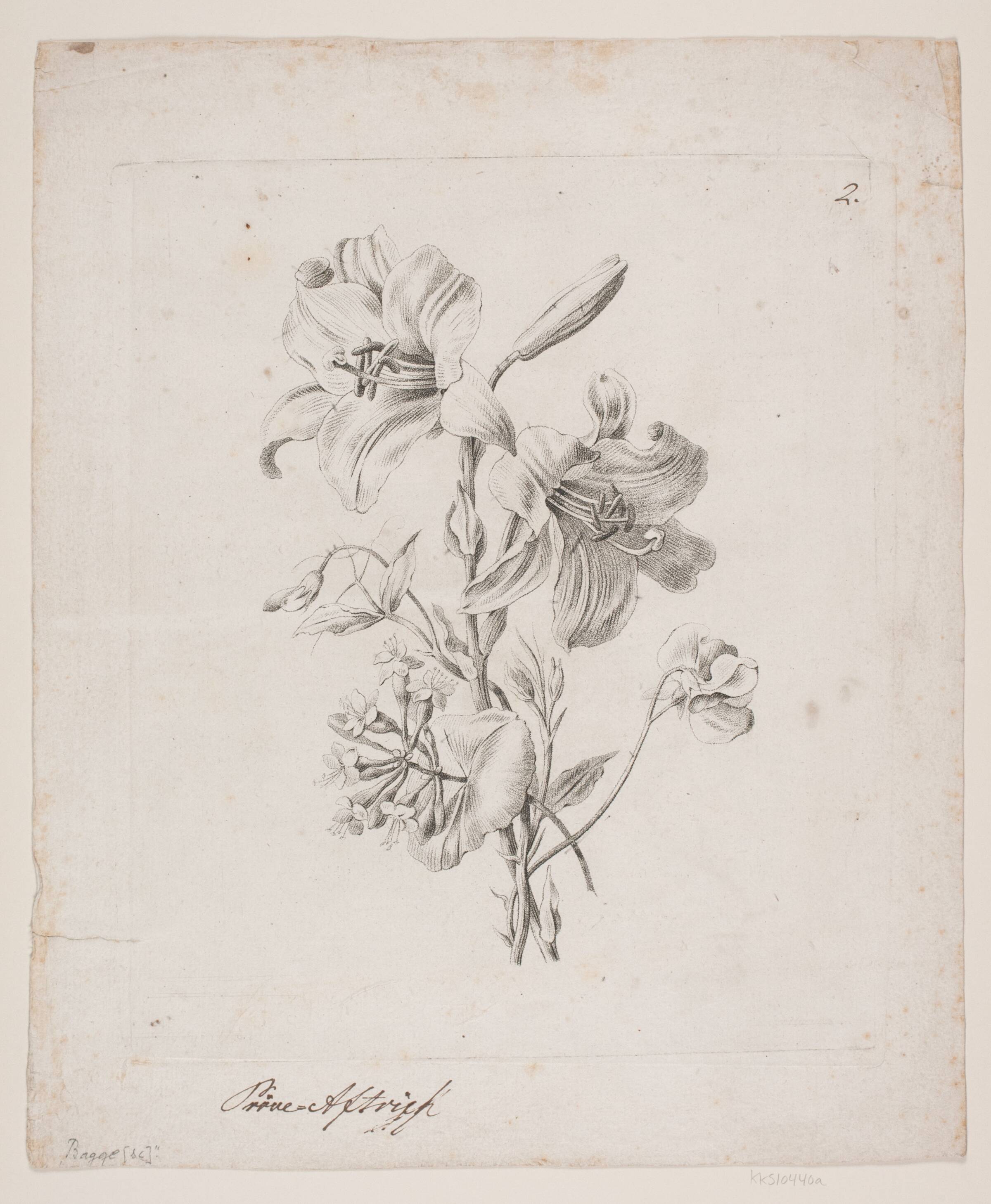 Blomster, Oluf Olufsen Bagge, 1816