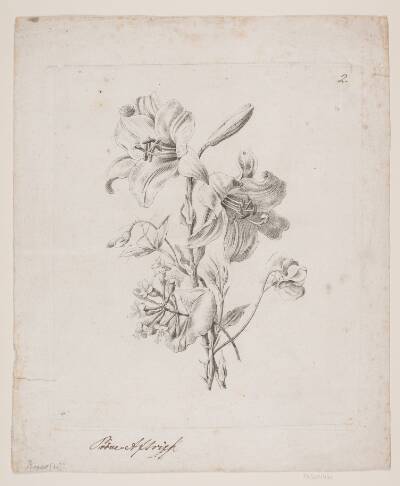 Blomster