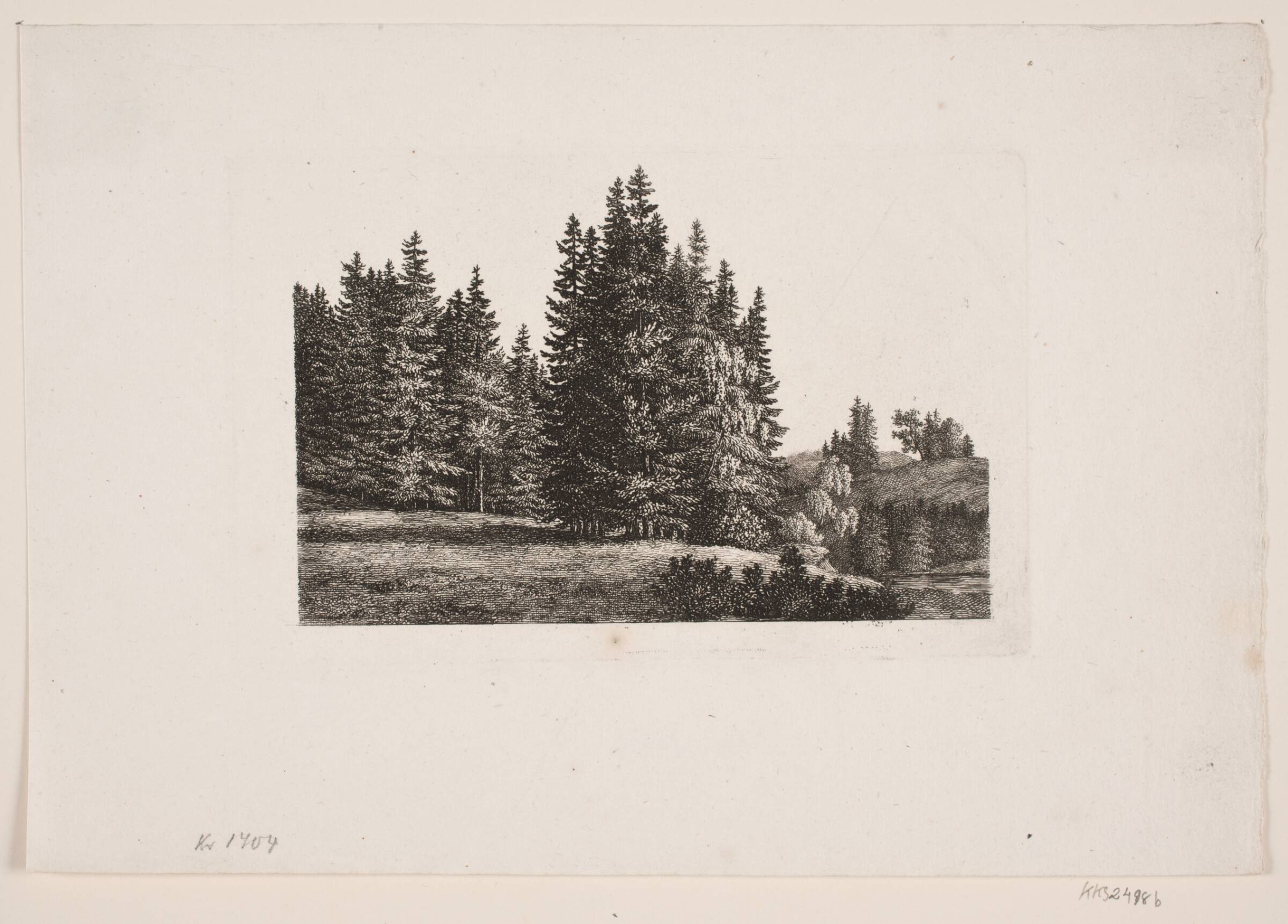 En grandskov, Søren Henrik Petersen, 1788-1860