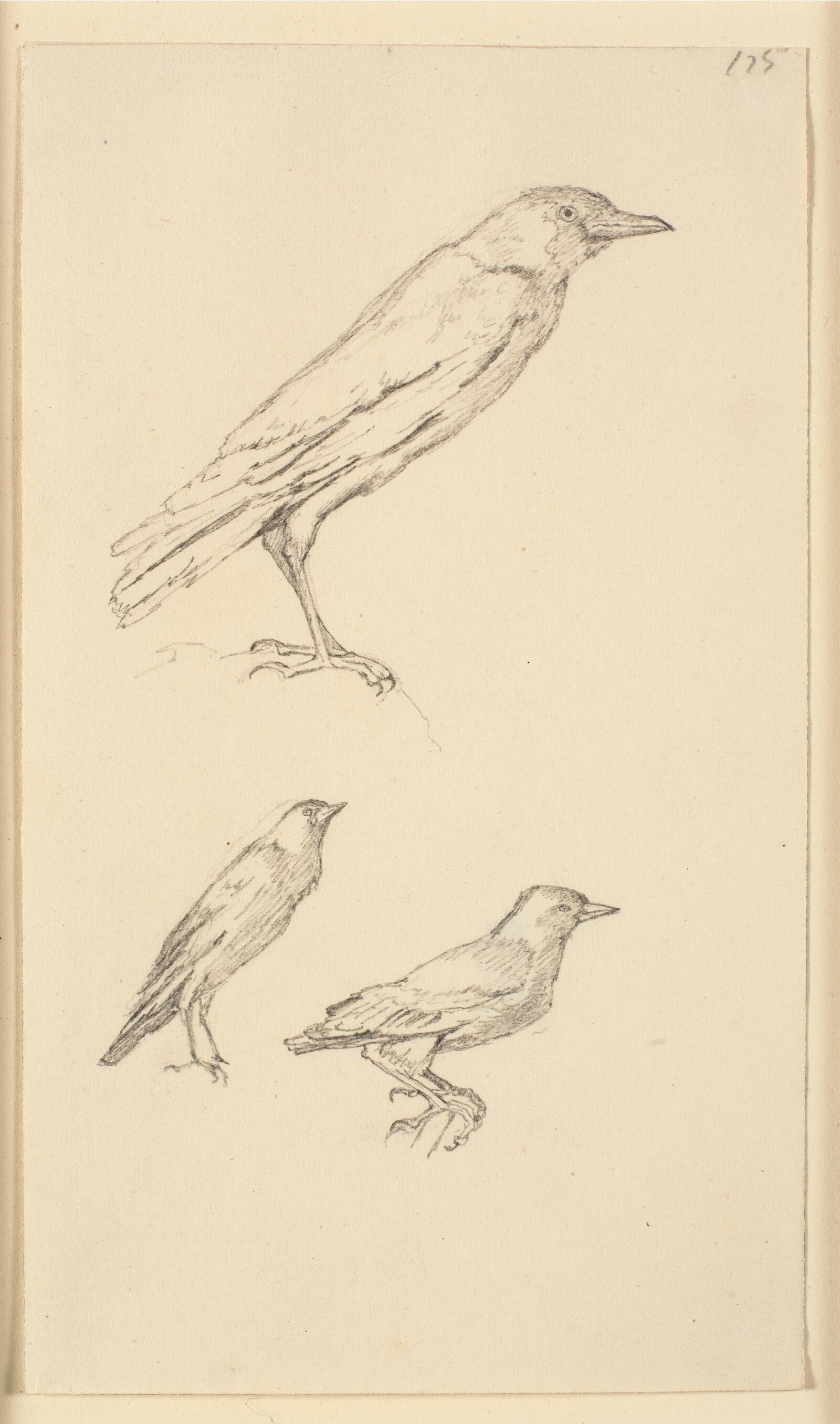 Tre Raager, Christen Købke, 1810-1848