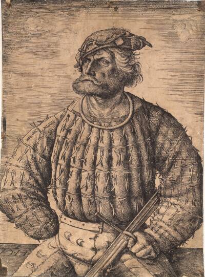 Kunz von der Rosen, kejser Maximilians hofnar