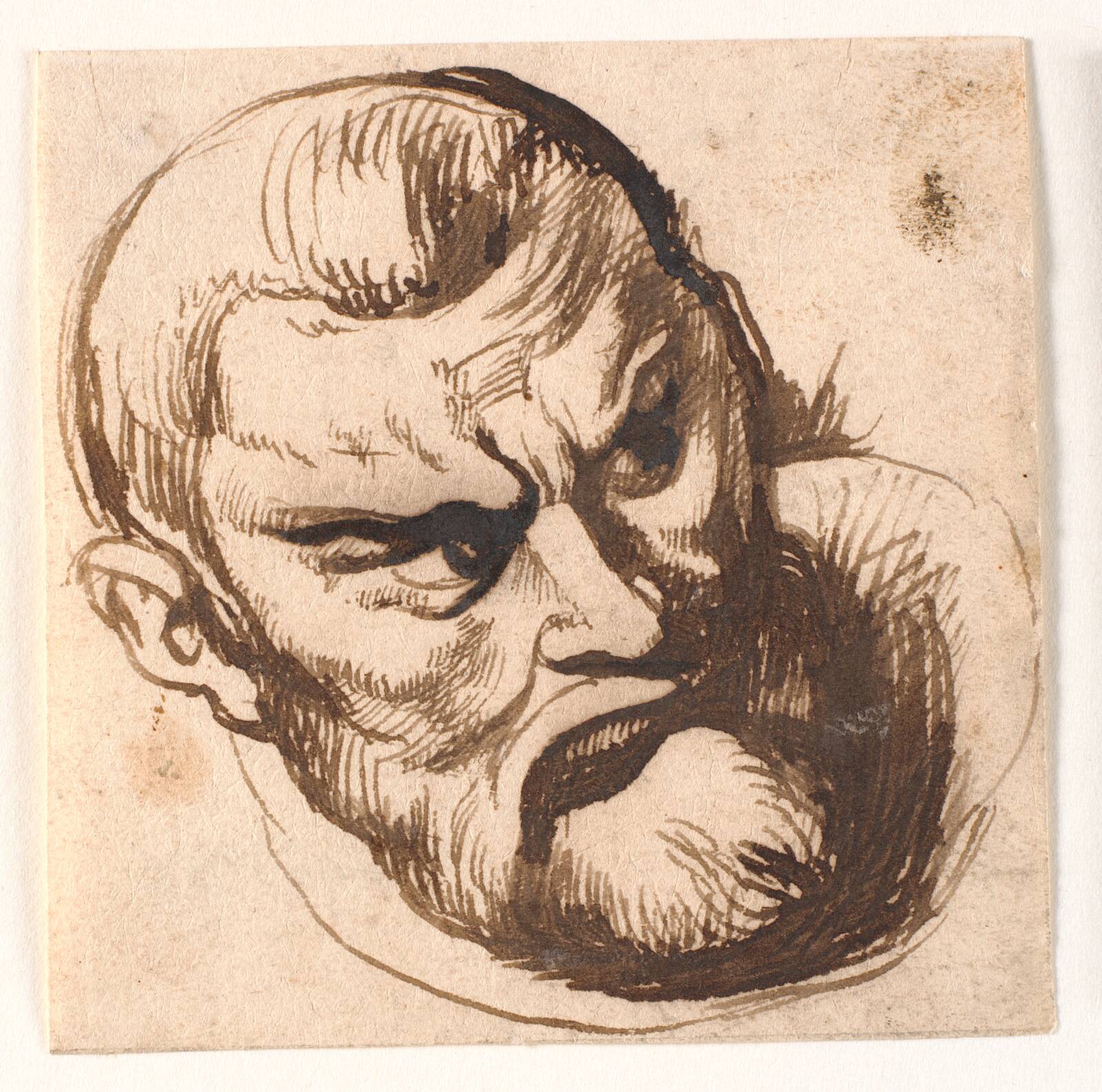 Mandehoved, Anthony van Dyck, 1600-1699