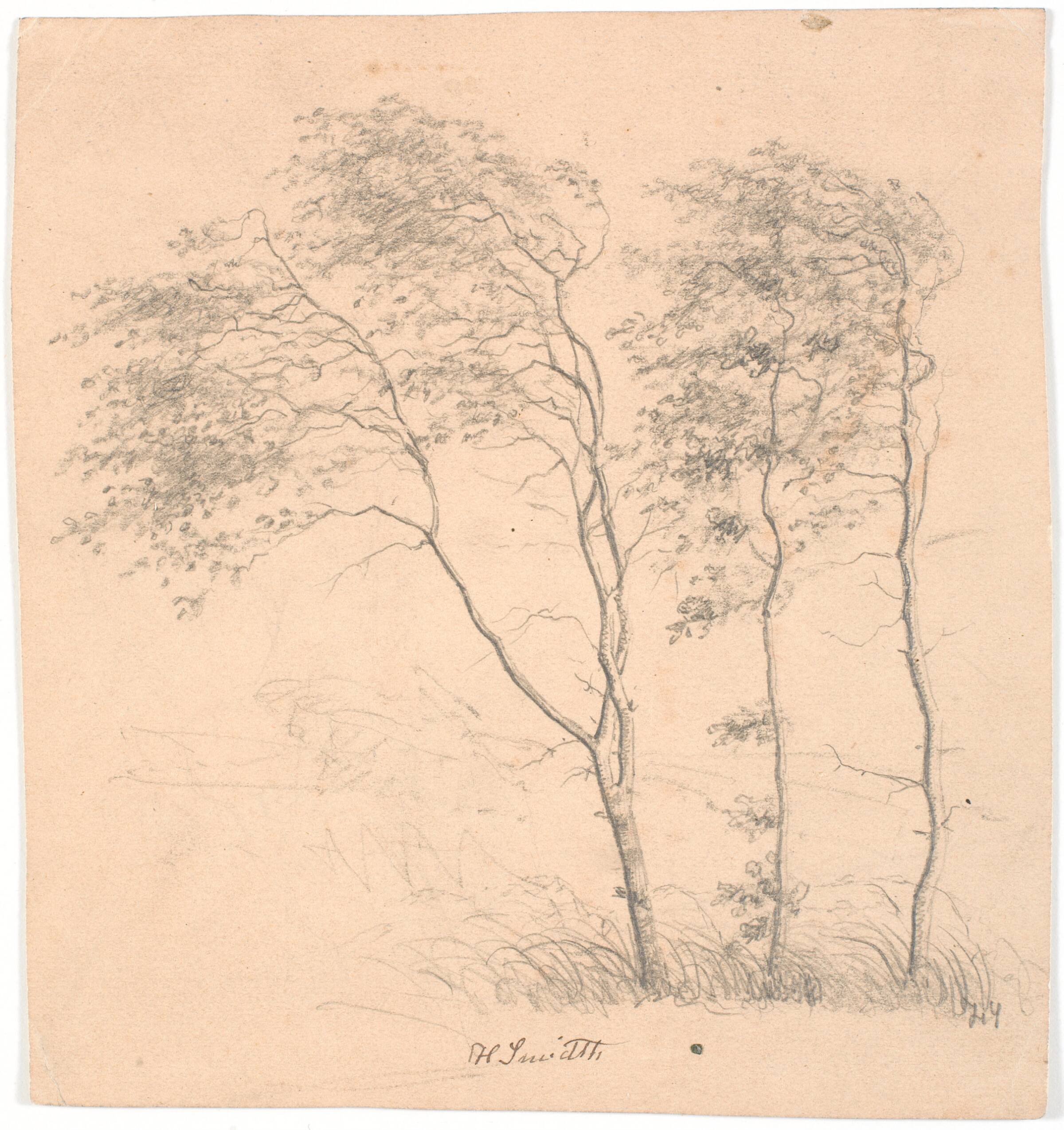 Tre træer, Hans Smidth, 1839-1917
