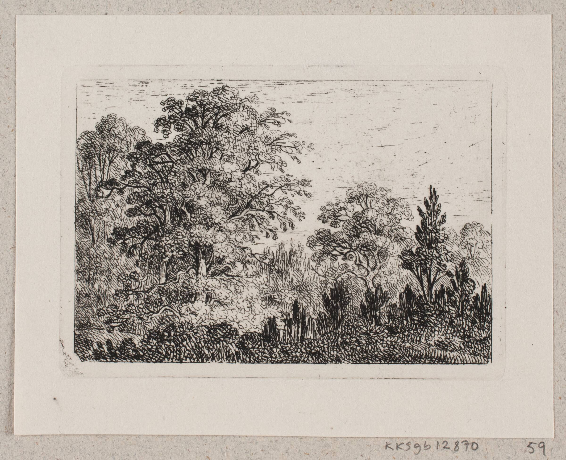 Skovlandskab, Emma Meyer, 1859-1921