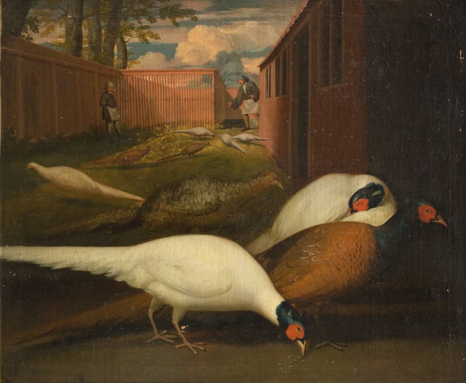 Fasaner i et indelukke, Ubekendt, 1749-1848