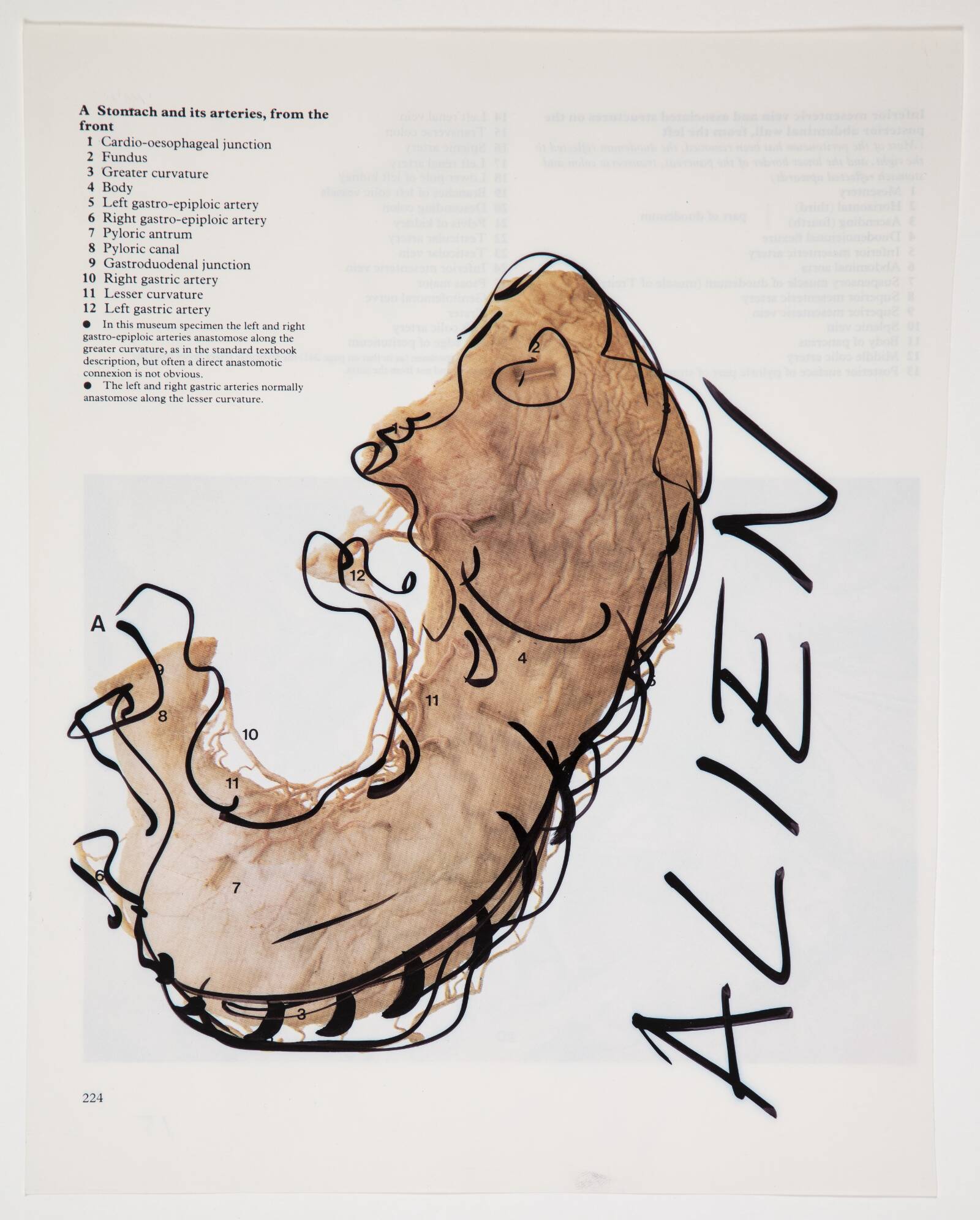 Alien, Christian Lemmerz, 1994