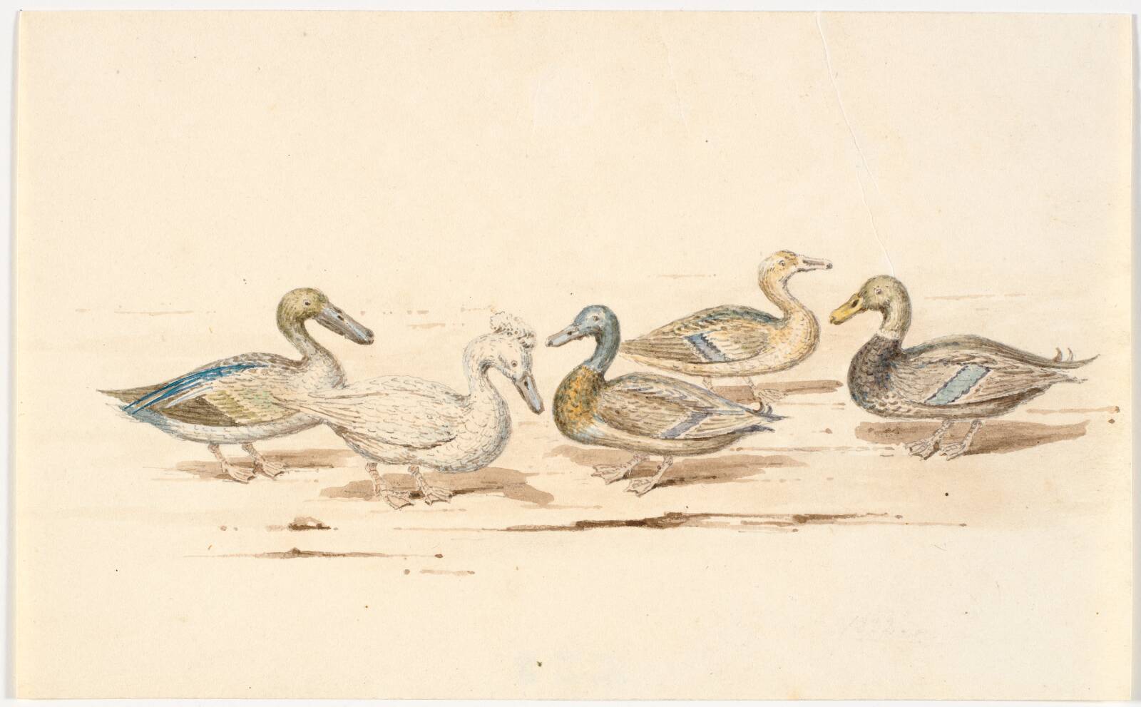 Studier af forskellige andetyper, Martinus Rørbye, 1832