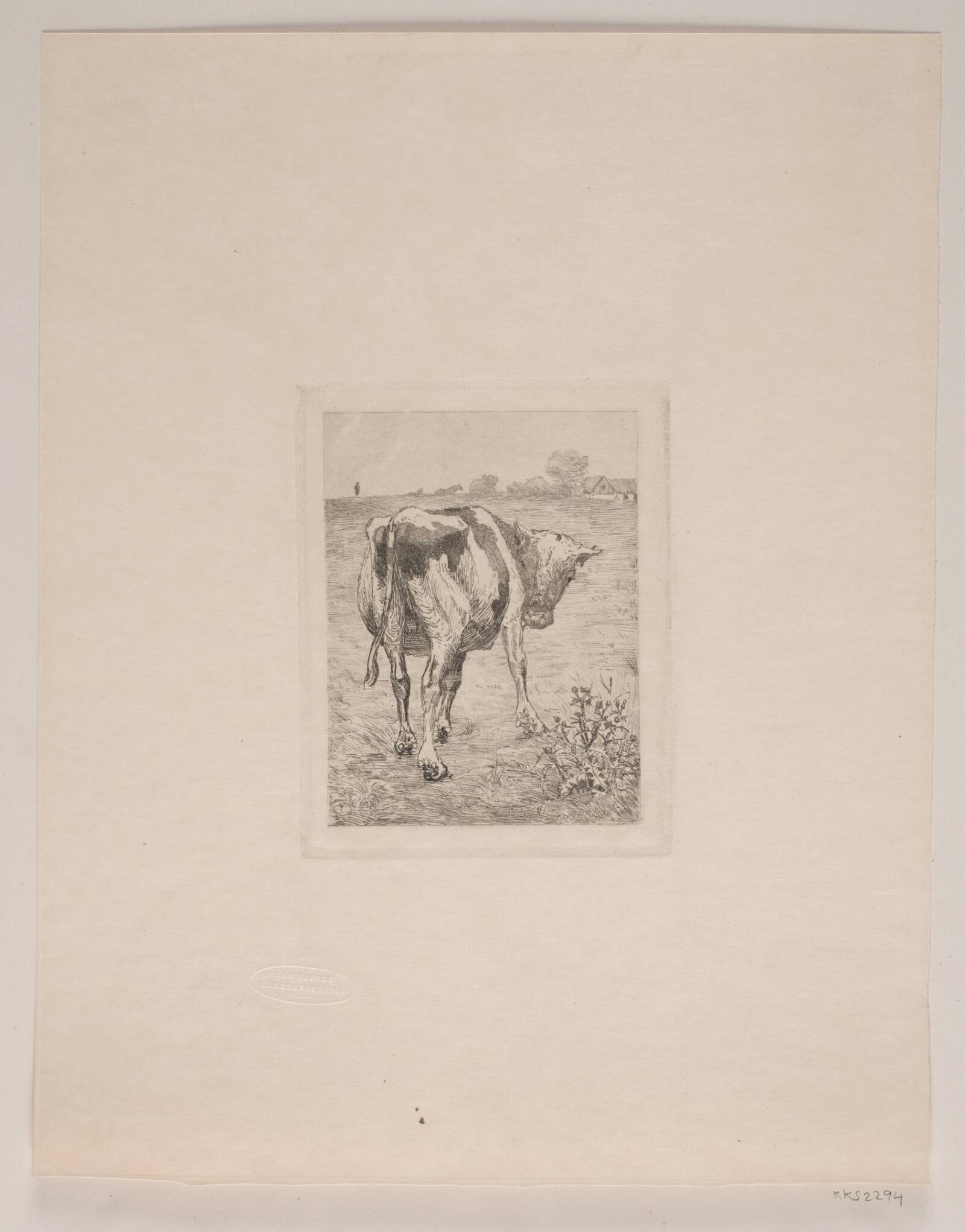 En kalv, Søren Lund, 1894