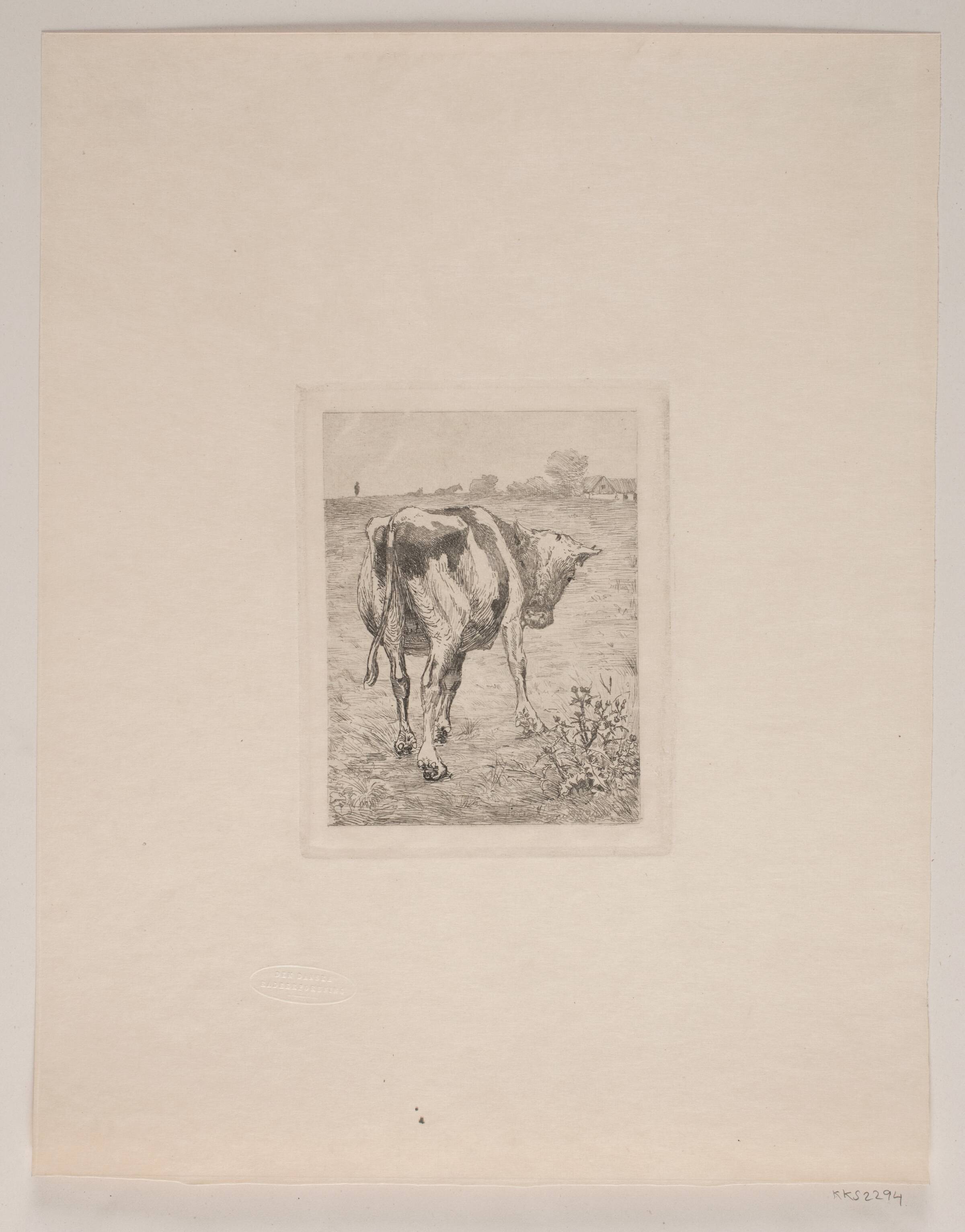 En kalv, Søren Lund, 1894
