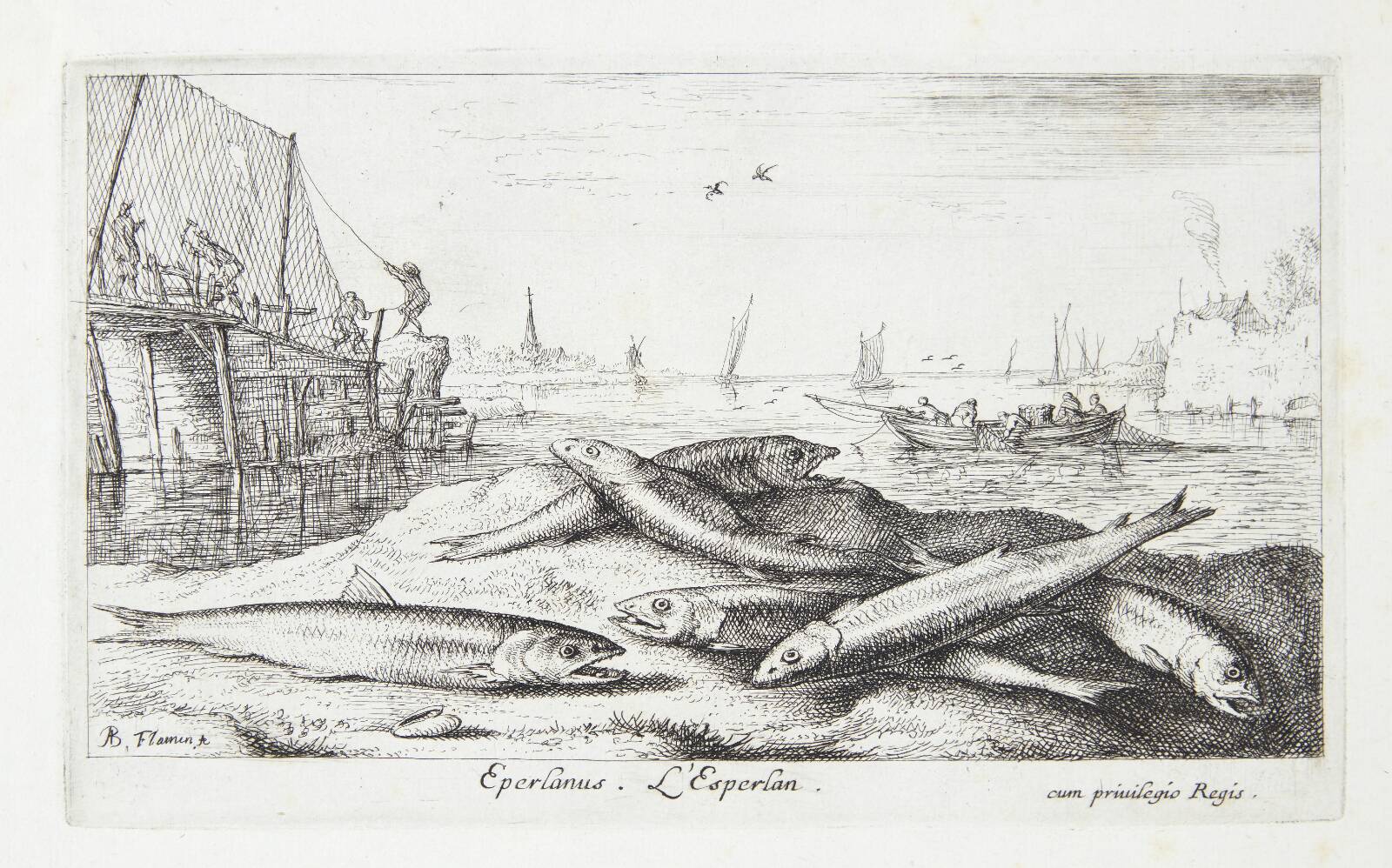 Smelten (Eperlanus), Albert Flamen, 1620-1669