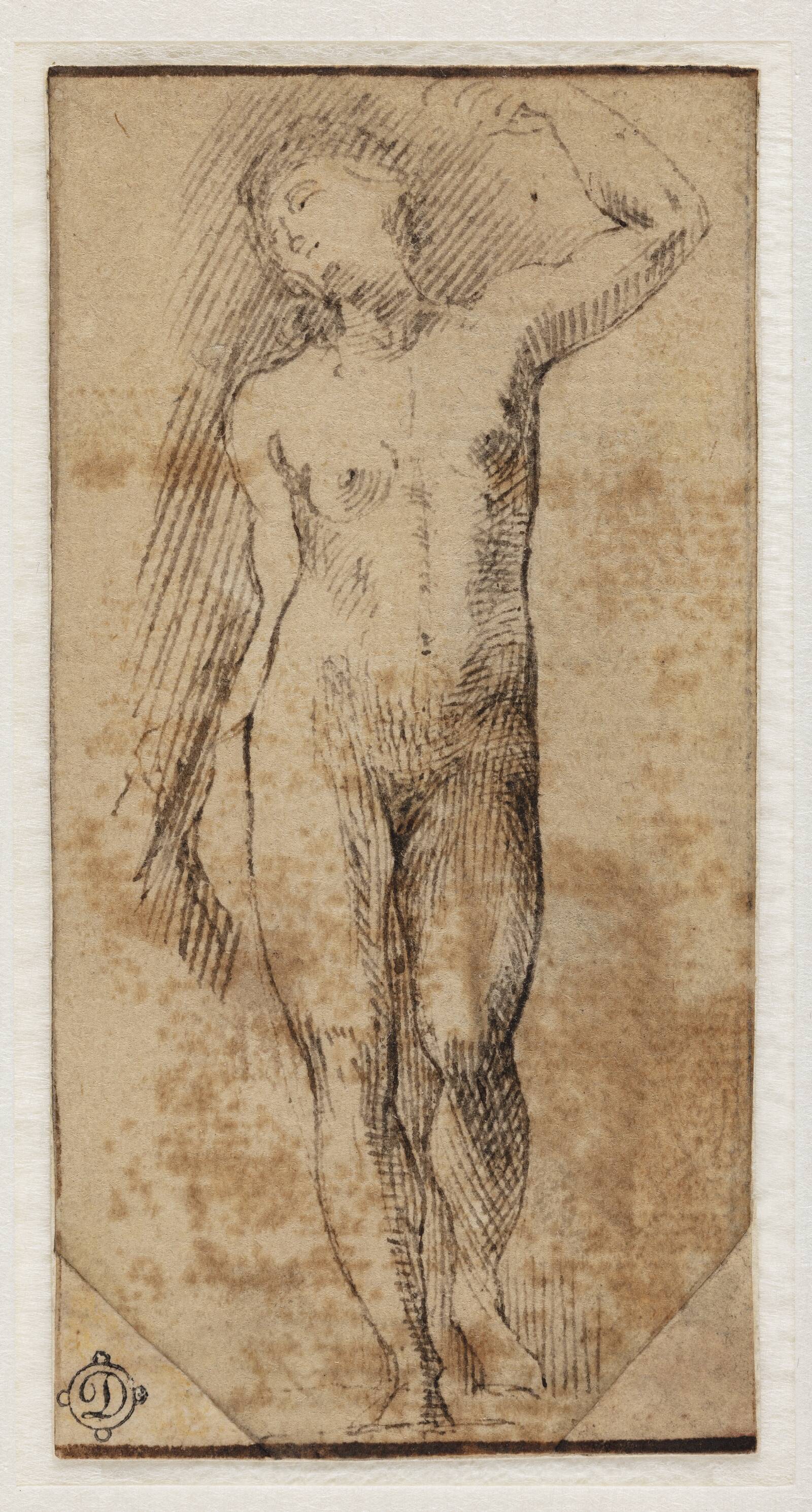 Studie af en nøgen, ung kvinde, set forfra, Ubekendt, 1510-1550
