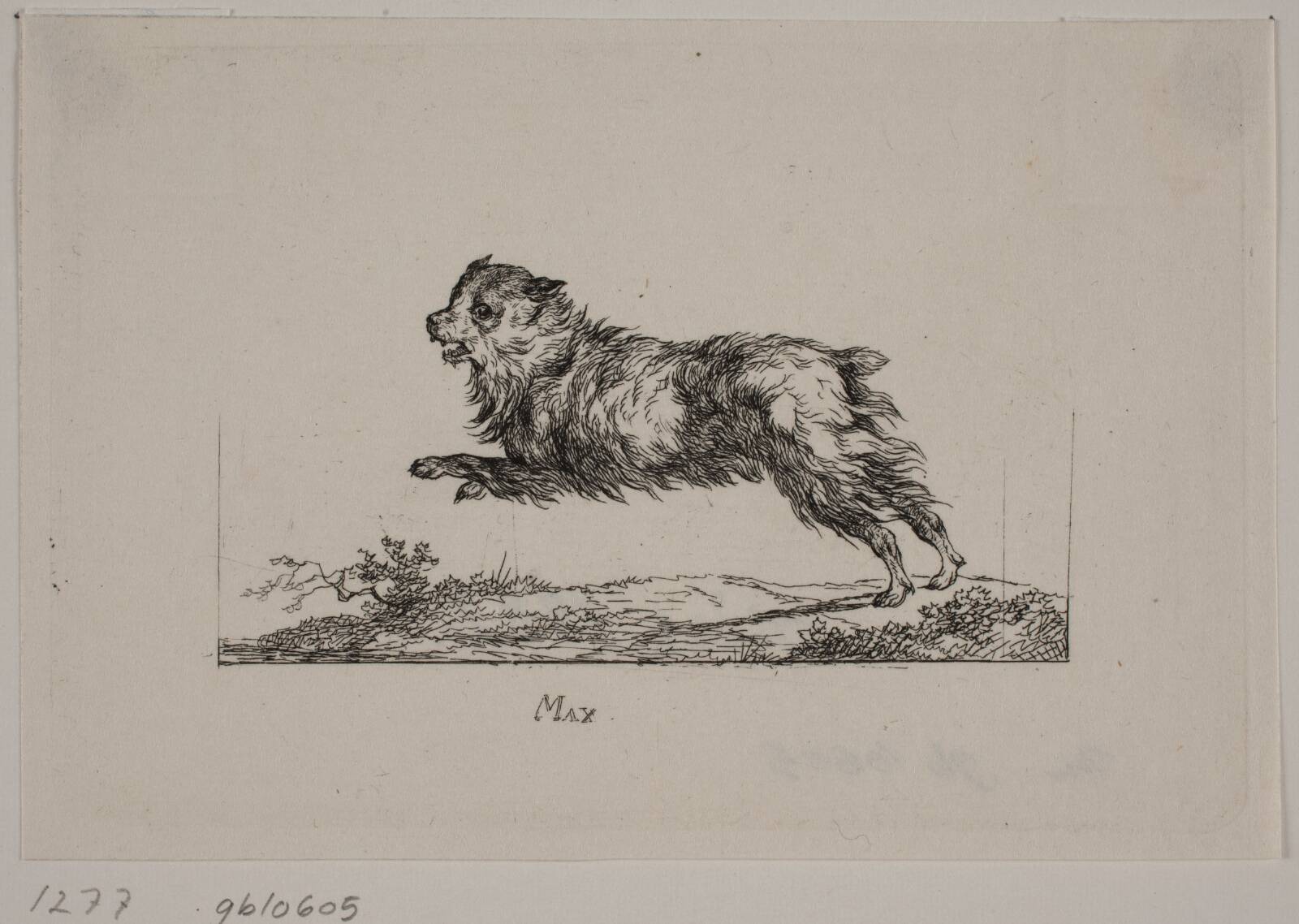Max, løbende hund, Christian David Gebauer, 1819