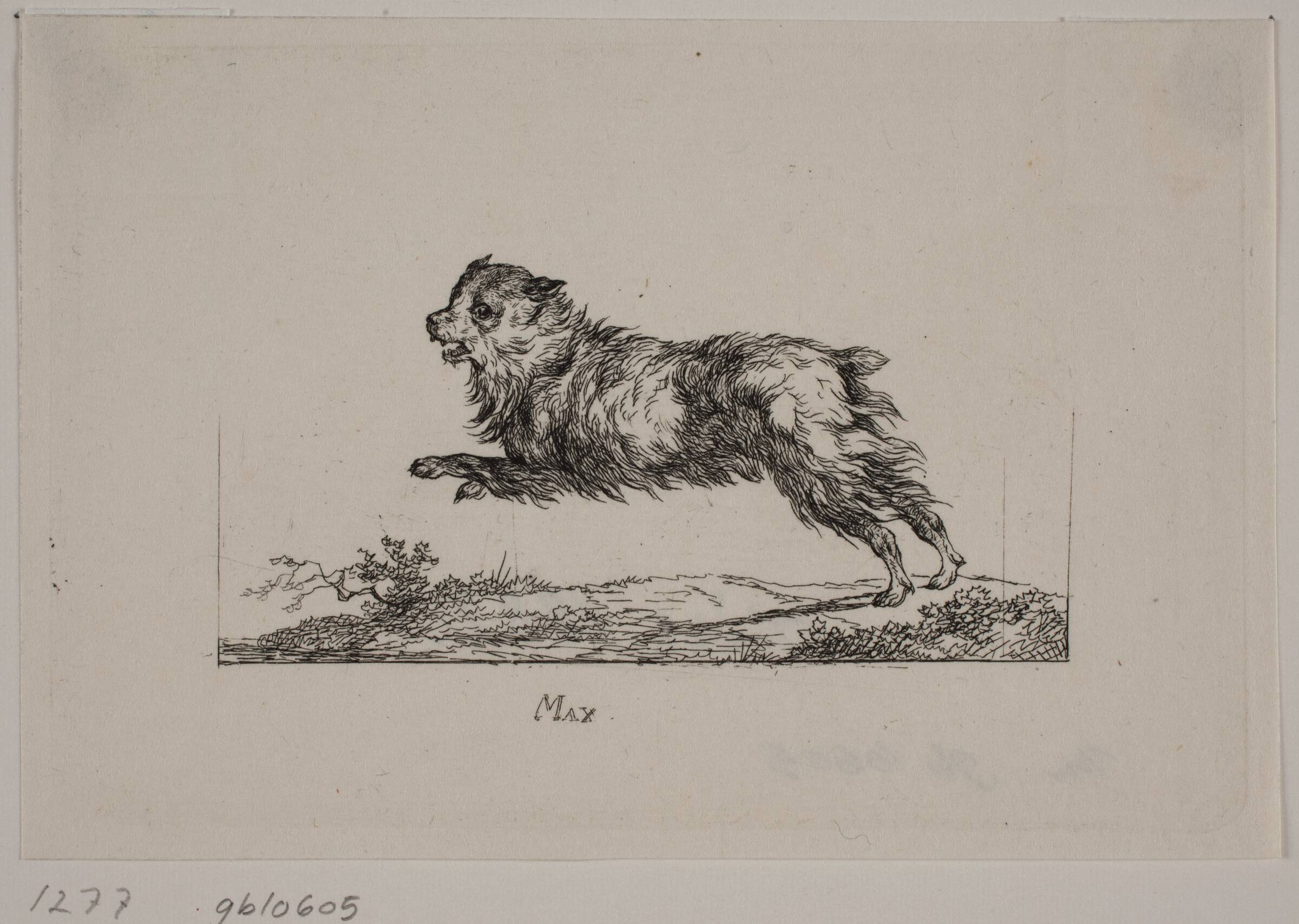 Max, løbende hund, Christian David Gebauer, 1819