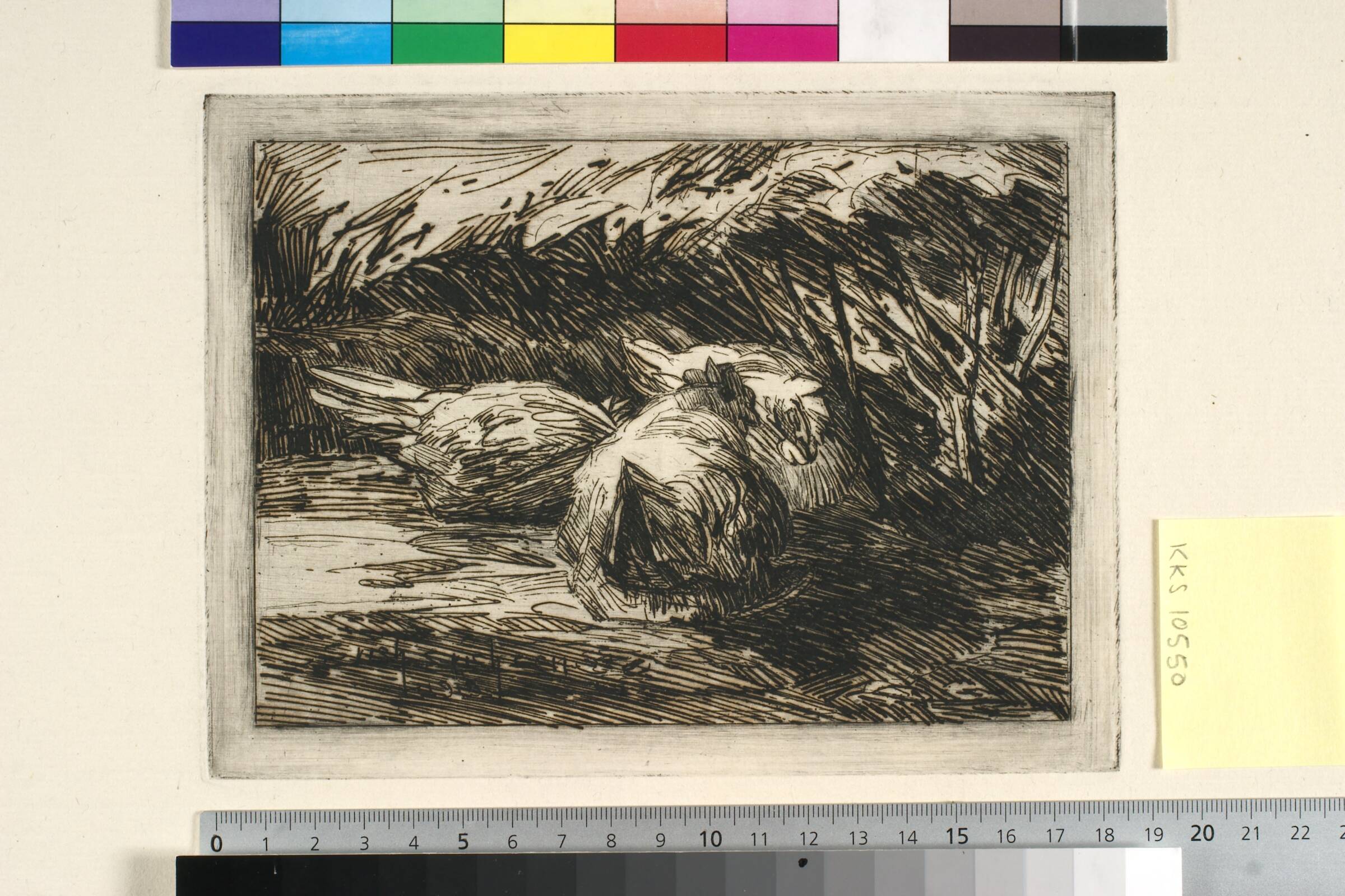 Tre hvide høns, Erich Erichsøe, 1919