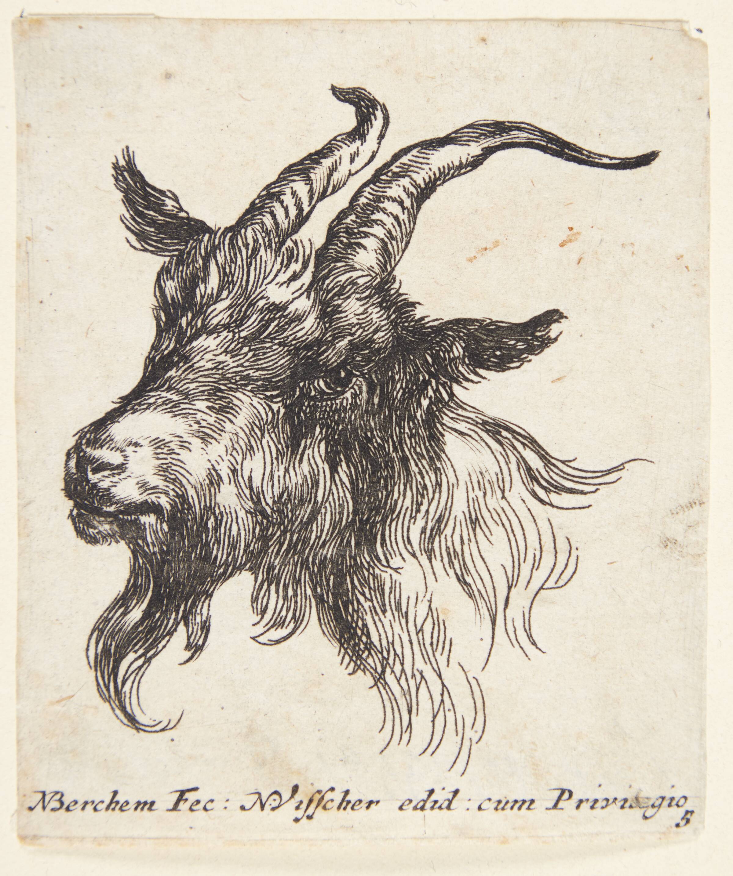 Gedehoved vendt mod venstre, Nicolaes Berchem, 1620-1683