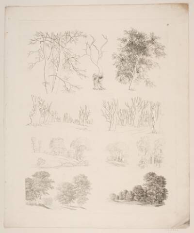 "Studier efter Naturen med Hensyn til Landskabstegning af S.H. Petersen", nr. 4